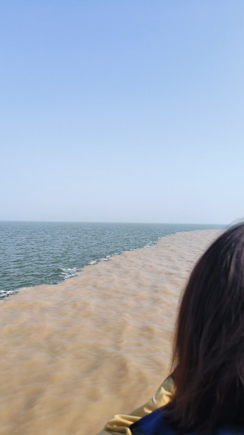 黄河口生态旅游区旅行图片 3