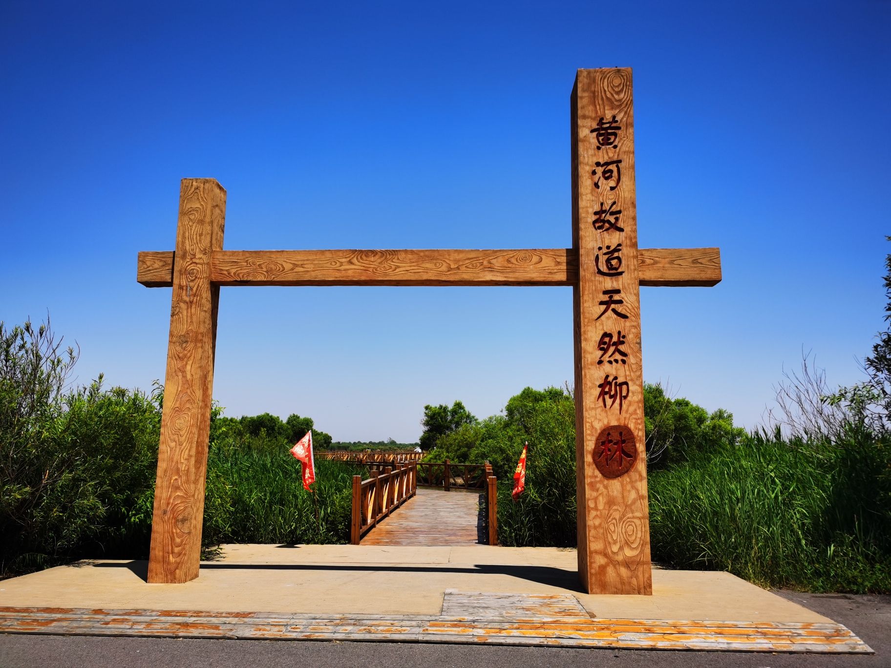 黄河口生态旅游区旅行图片 1