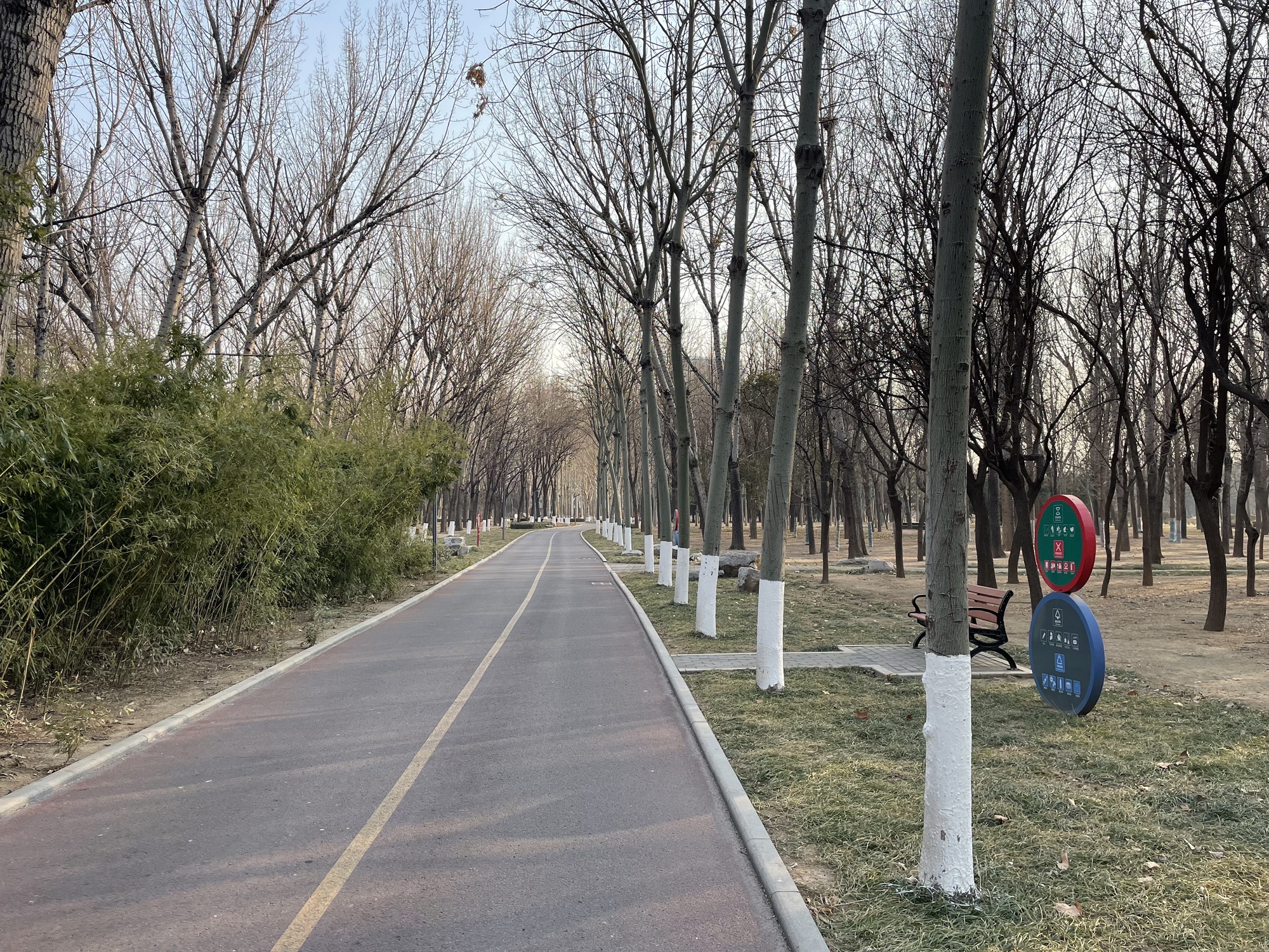 五村遗址森林公园旅行图片 1