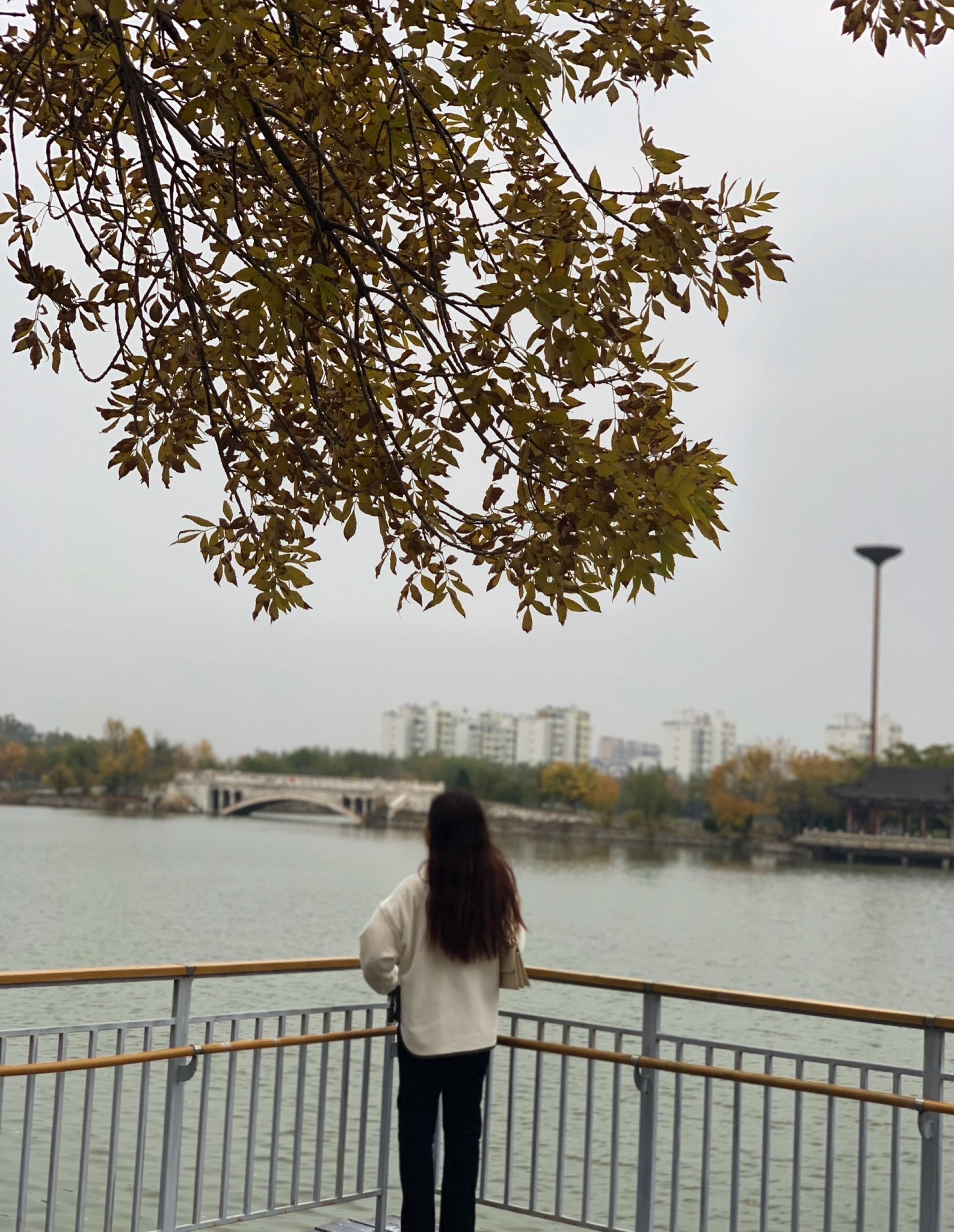 荟萃园旅行图片 1