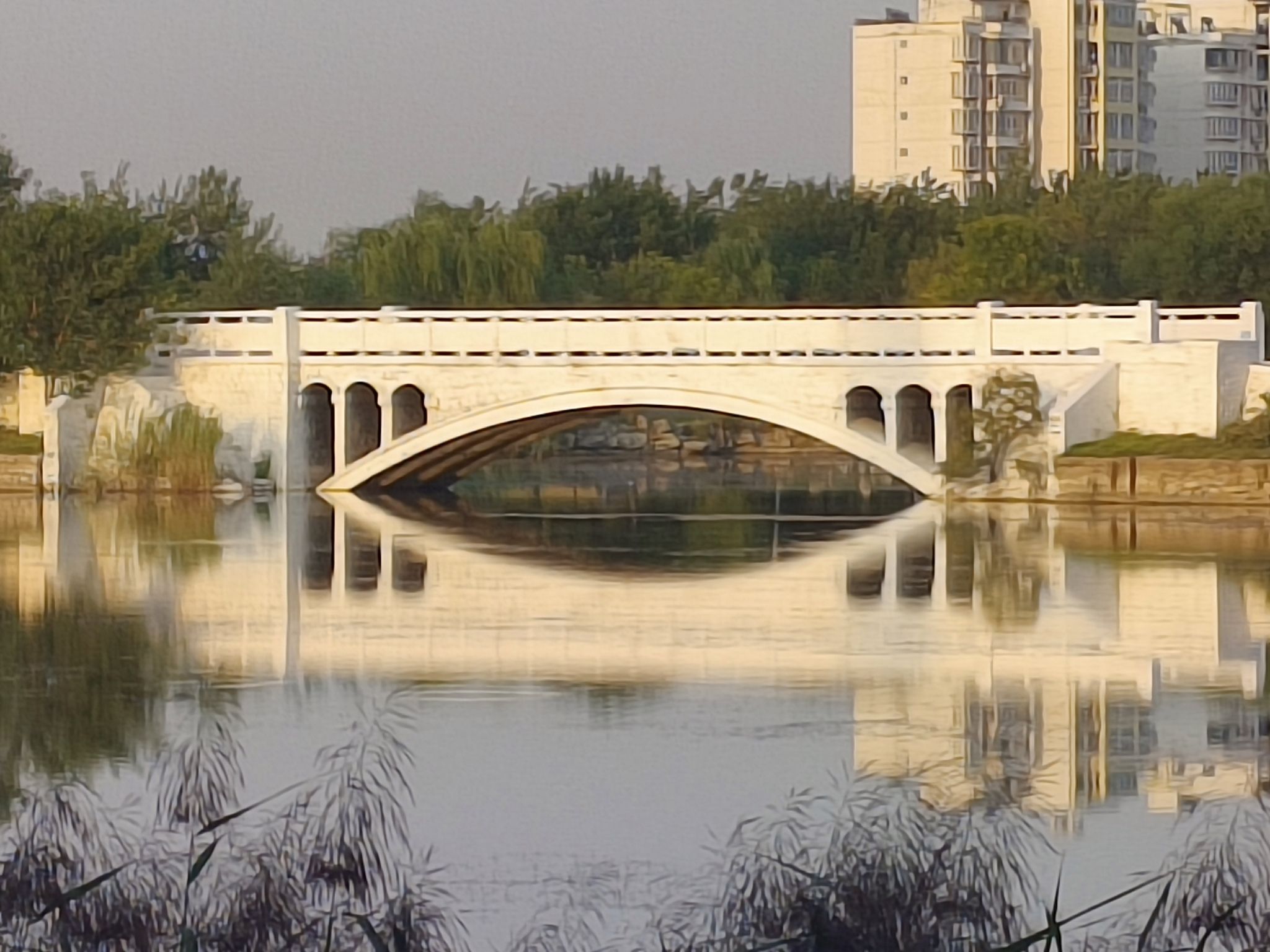 荟萃园旅行图片 2