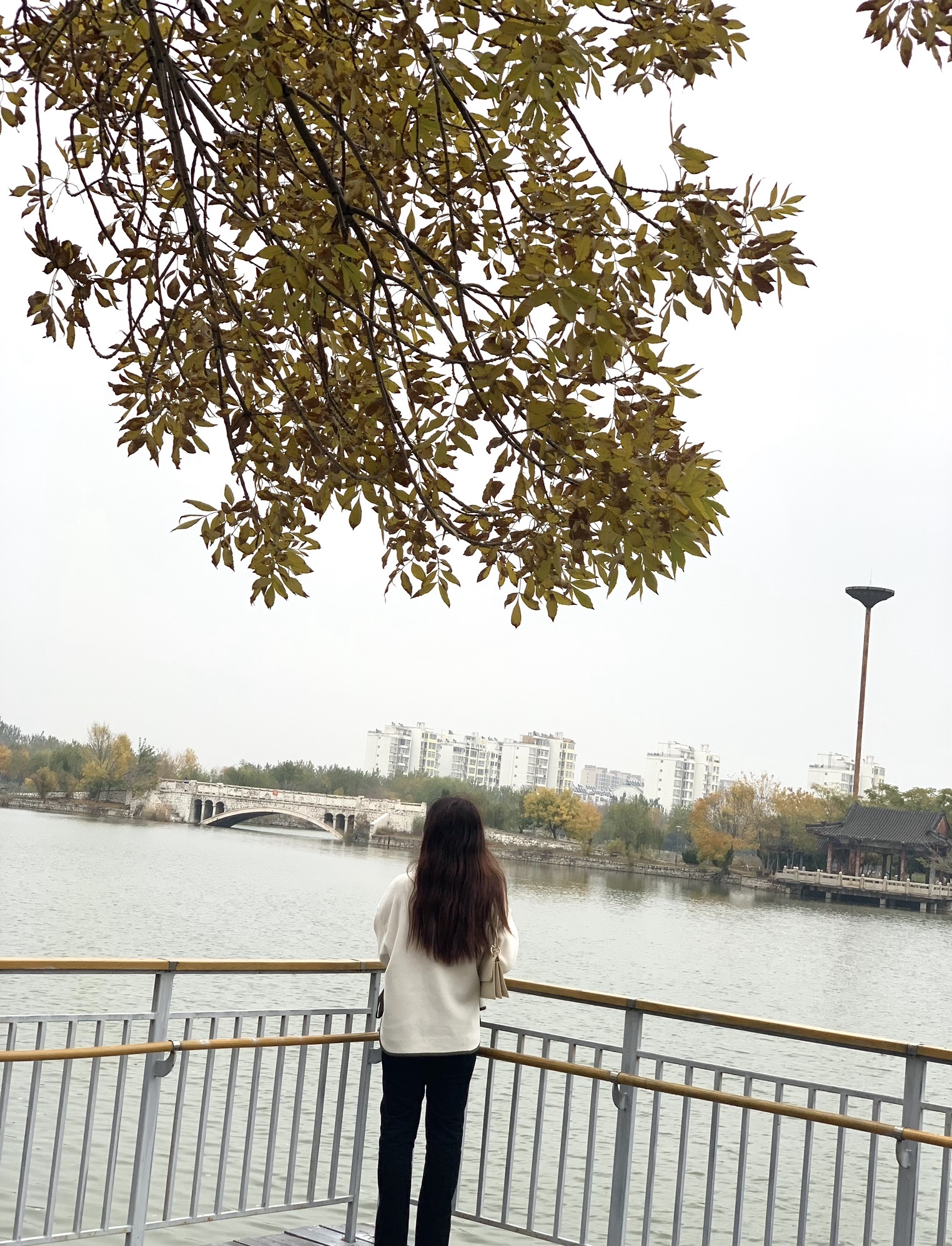 荟萃园旅行图片 3