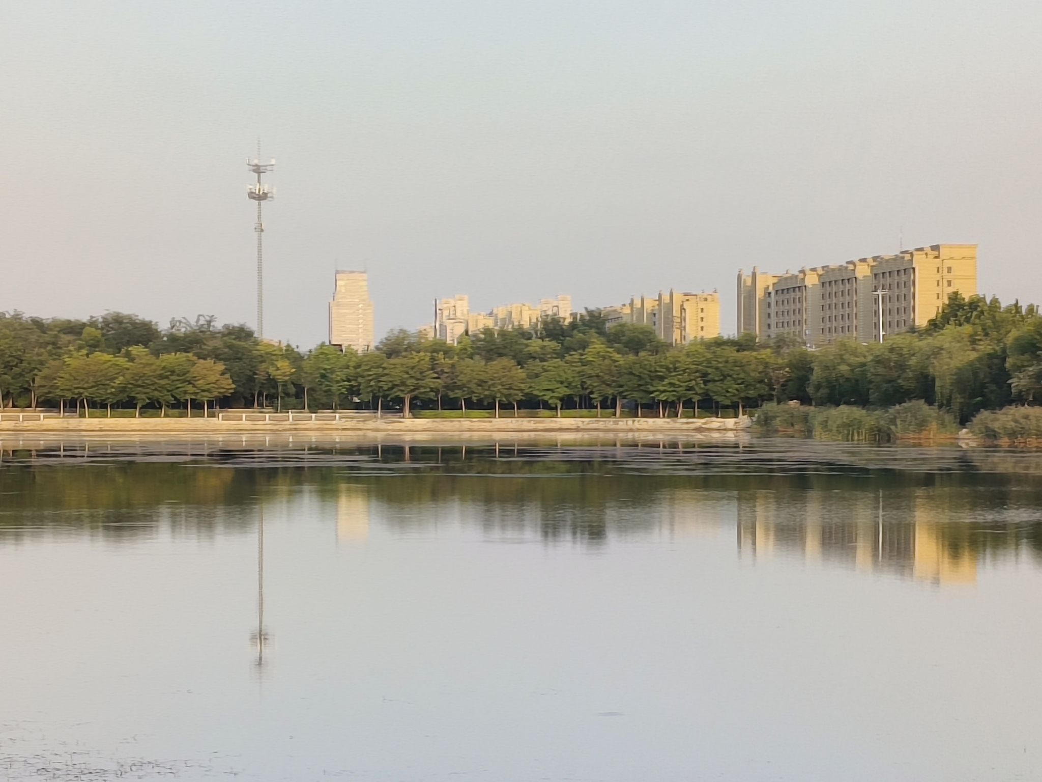 荟萃园旅行图片 3