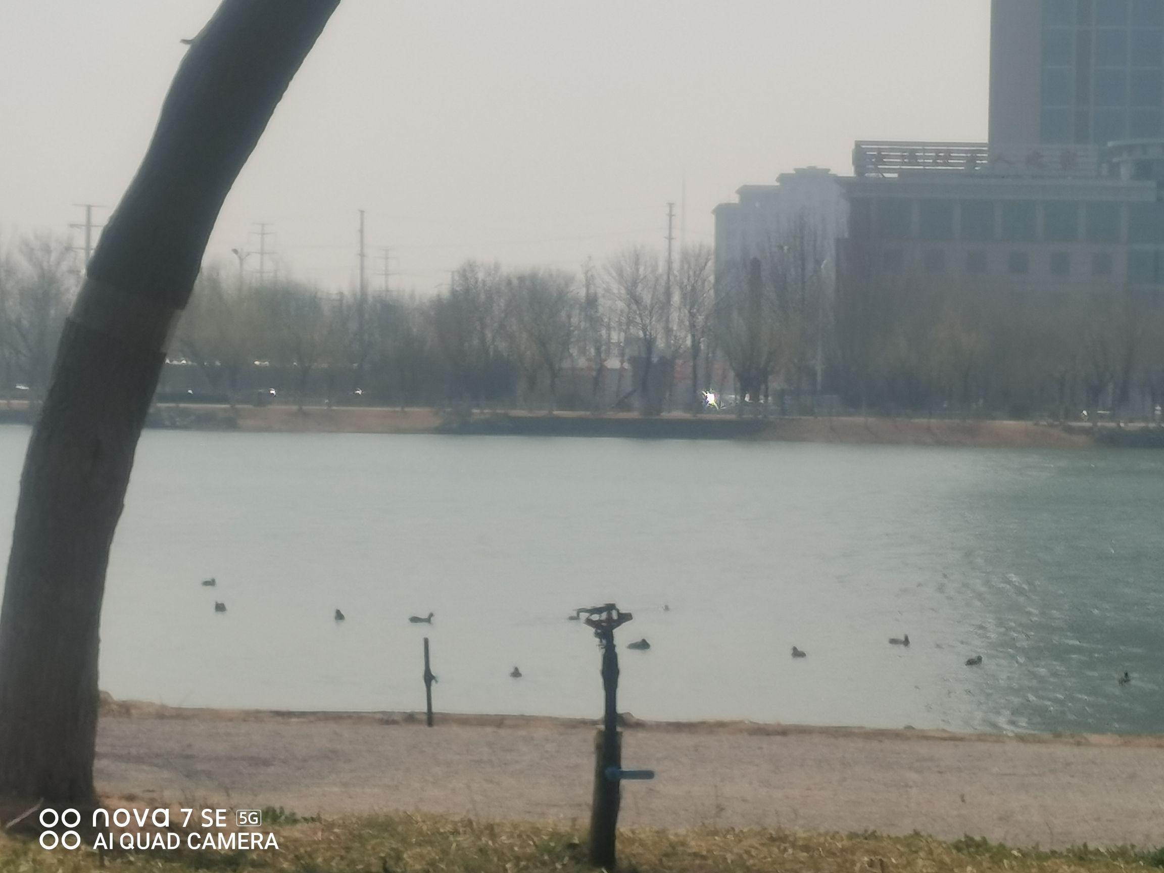 荟萃园旅行图片 1
