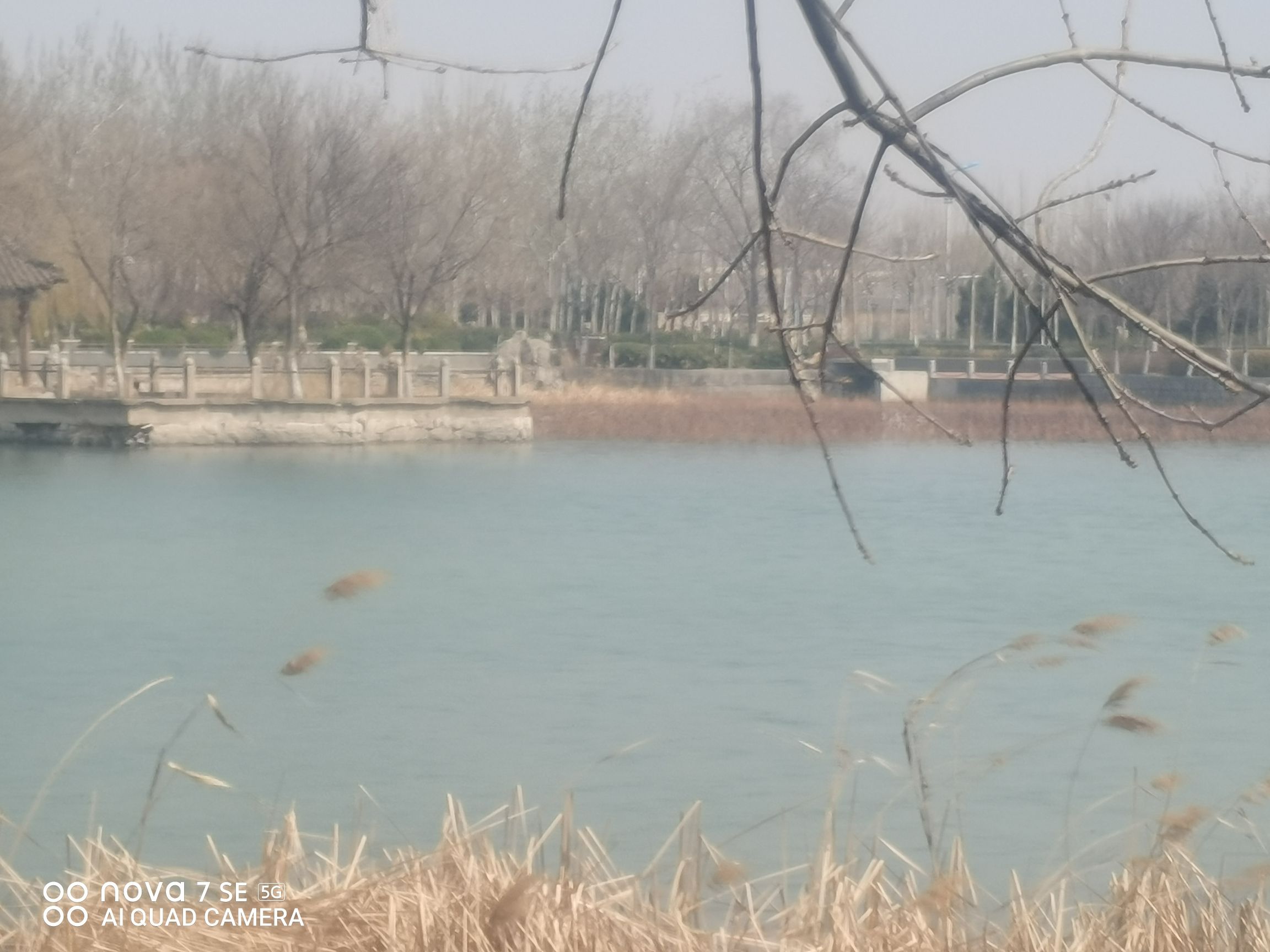 荟萃园旅行图片 2