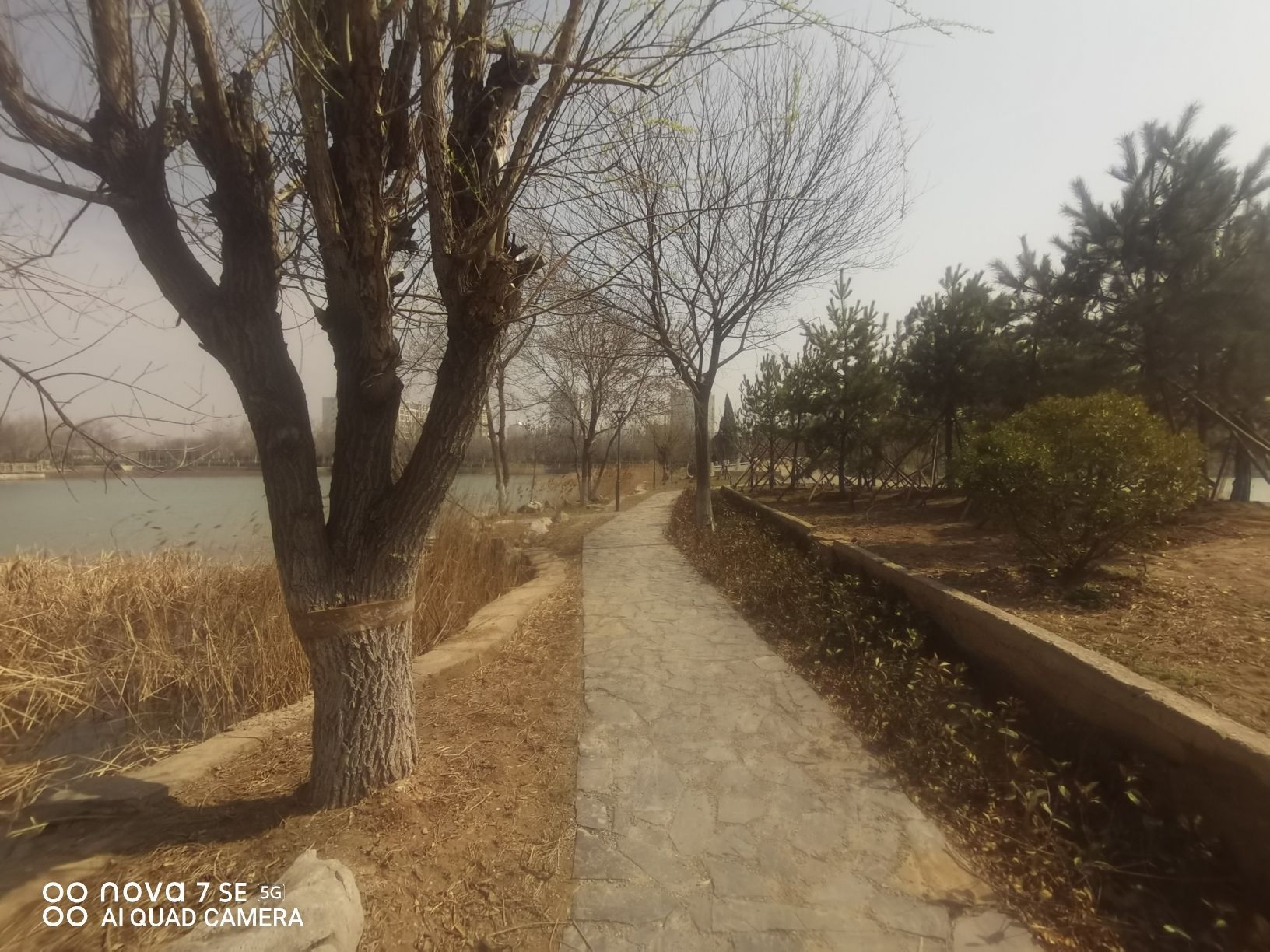 荟萃园旅行图片 3