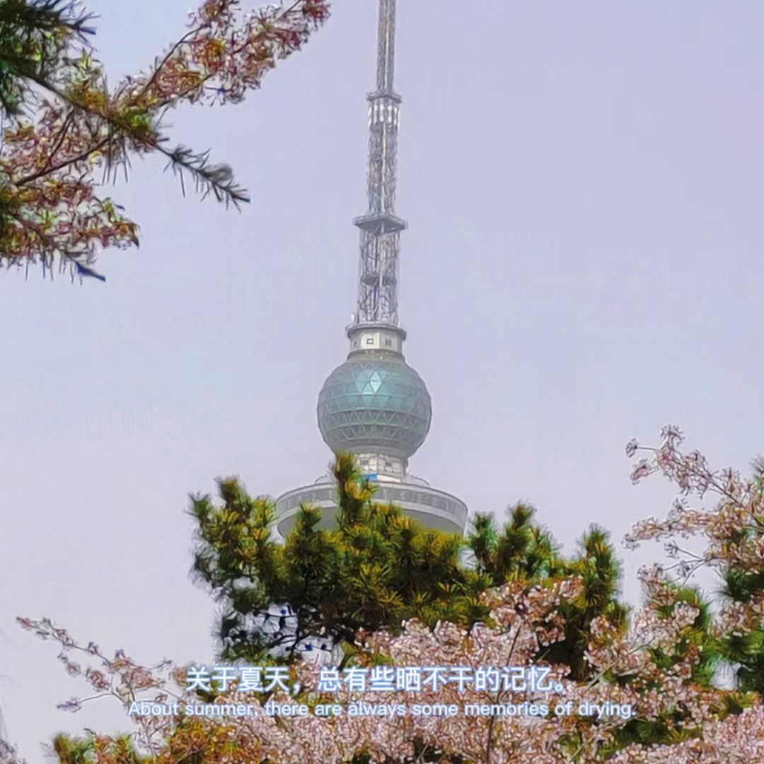 胜利广场旅行图片 3