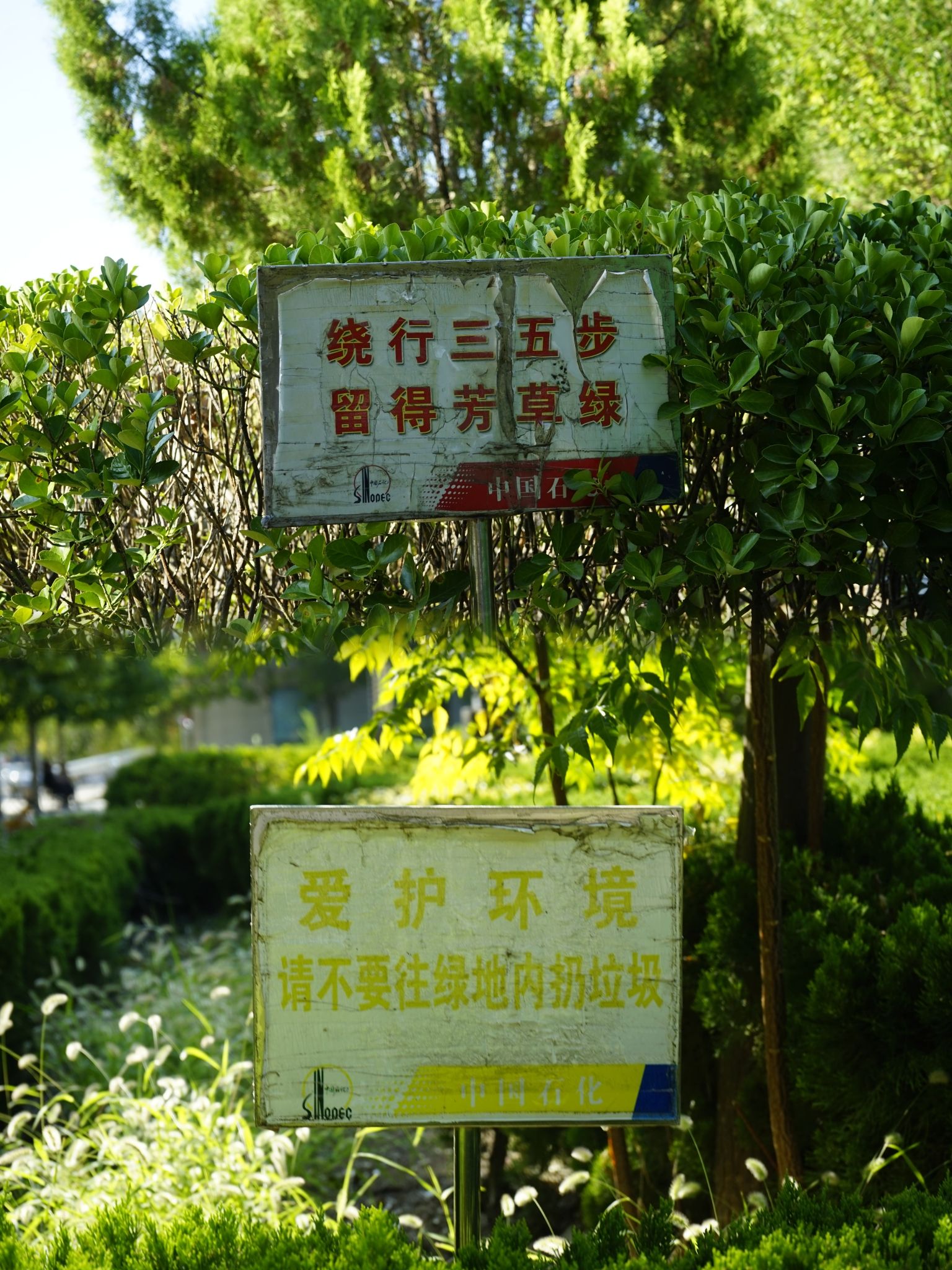 胜利井下广场旅行图片 3