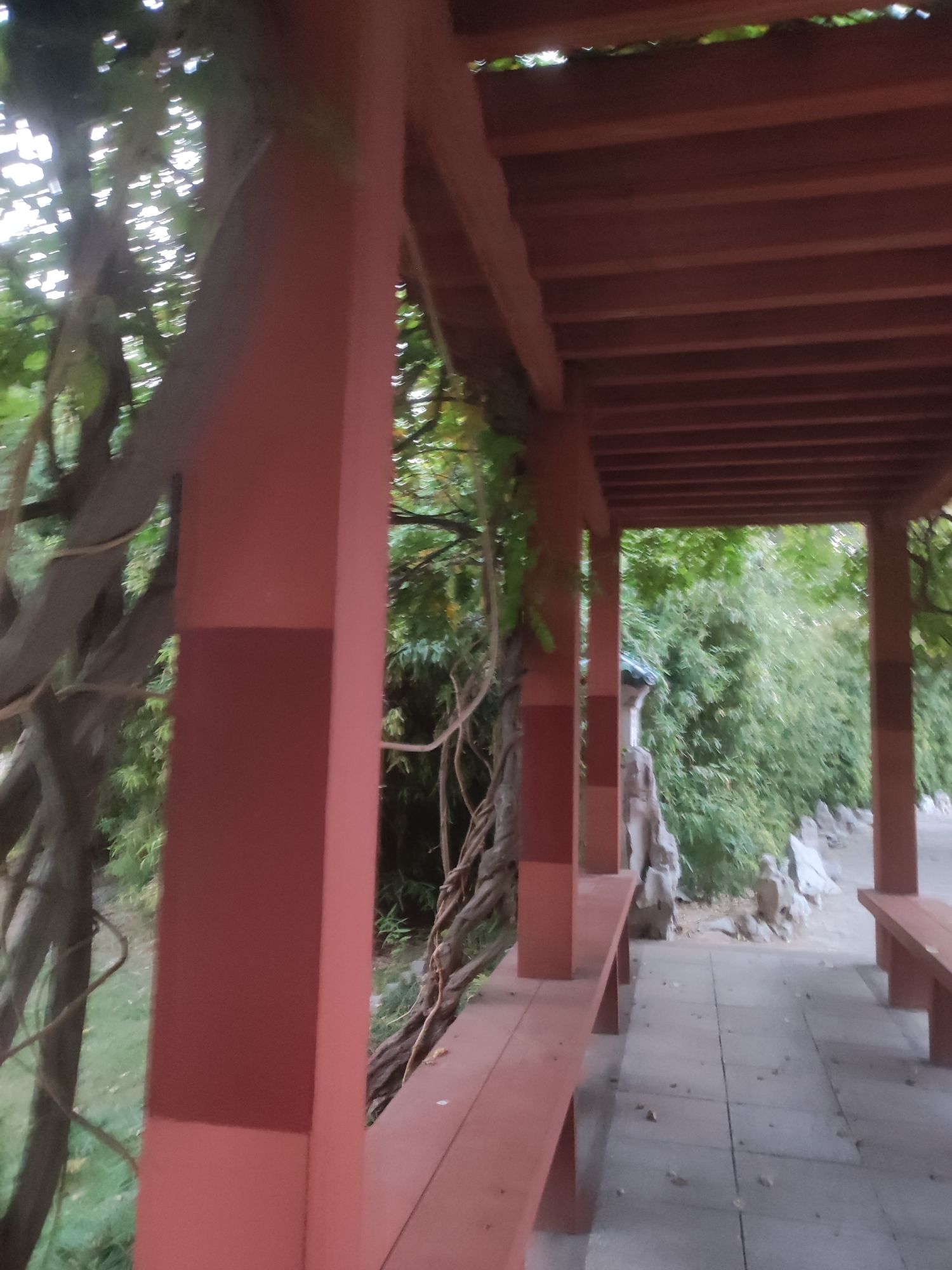 月河公园旅行图片 3