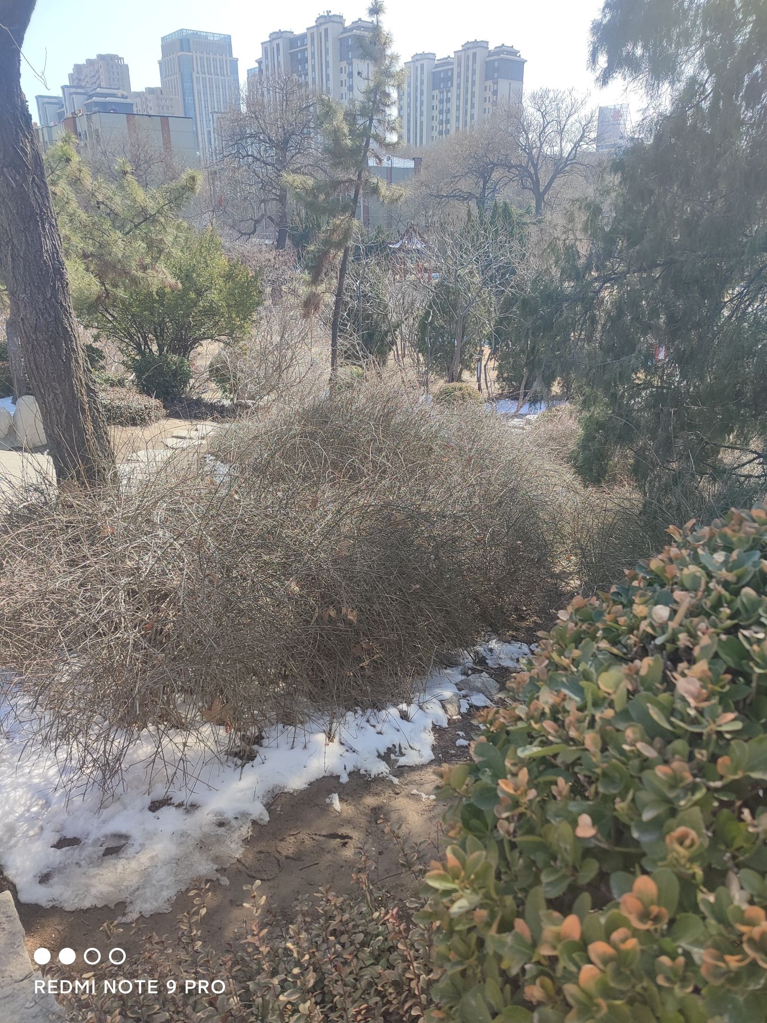 月河公园旅行图片 3