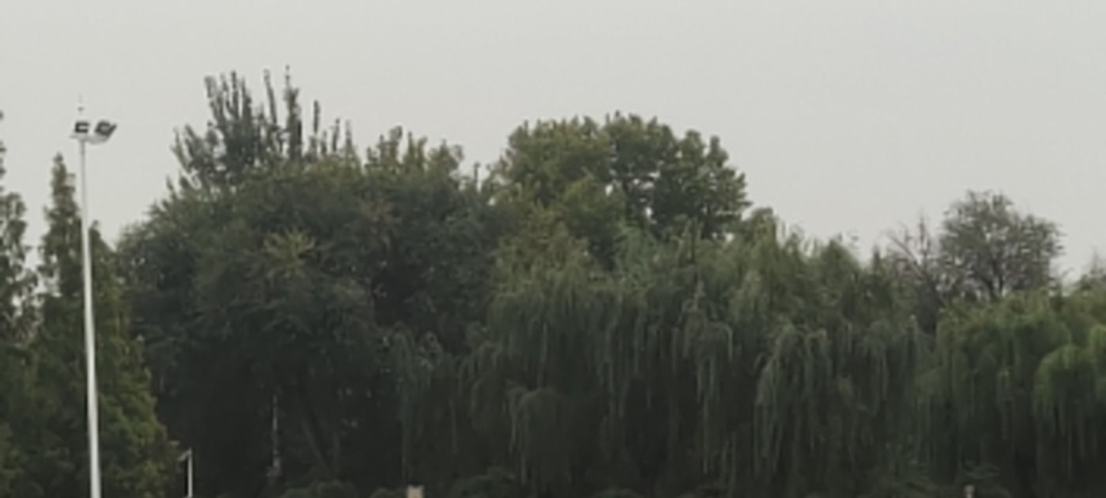月河公园旅行图片 1
