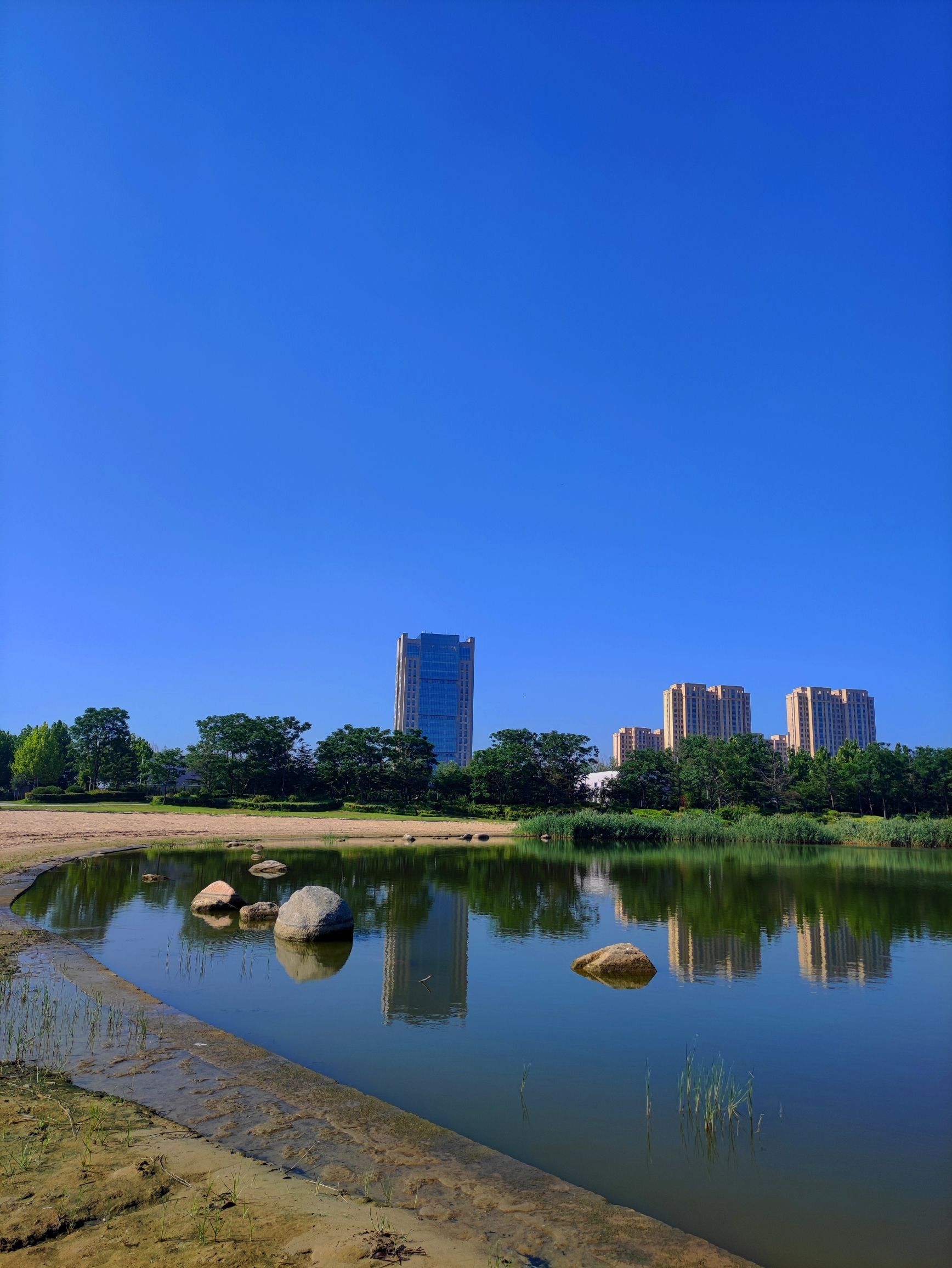 东营市明月湖国家湿地公园旅行图片 3