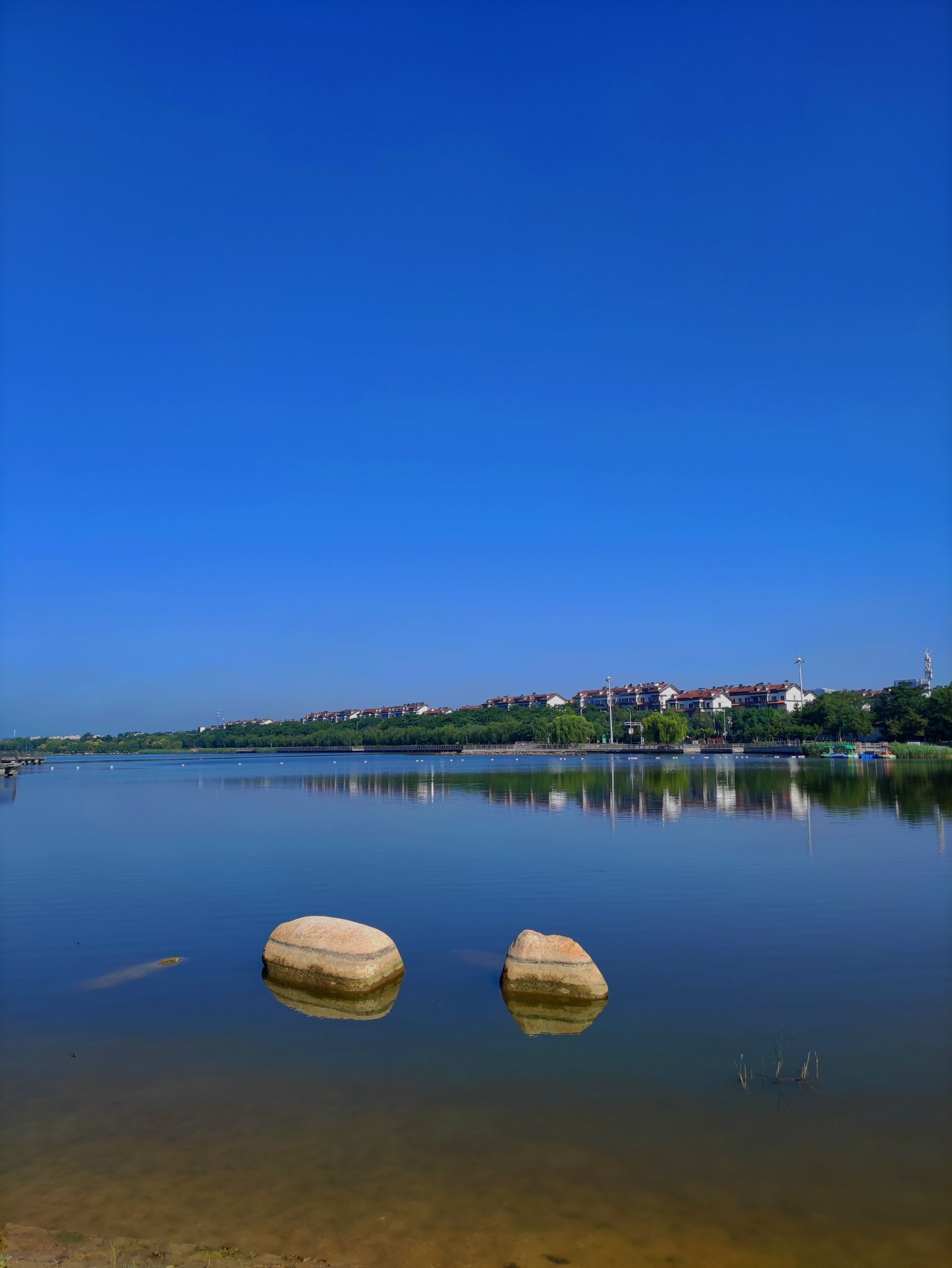 东营市明月湖国家湿地公园