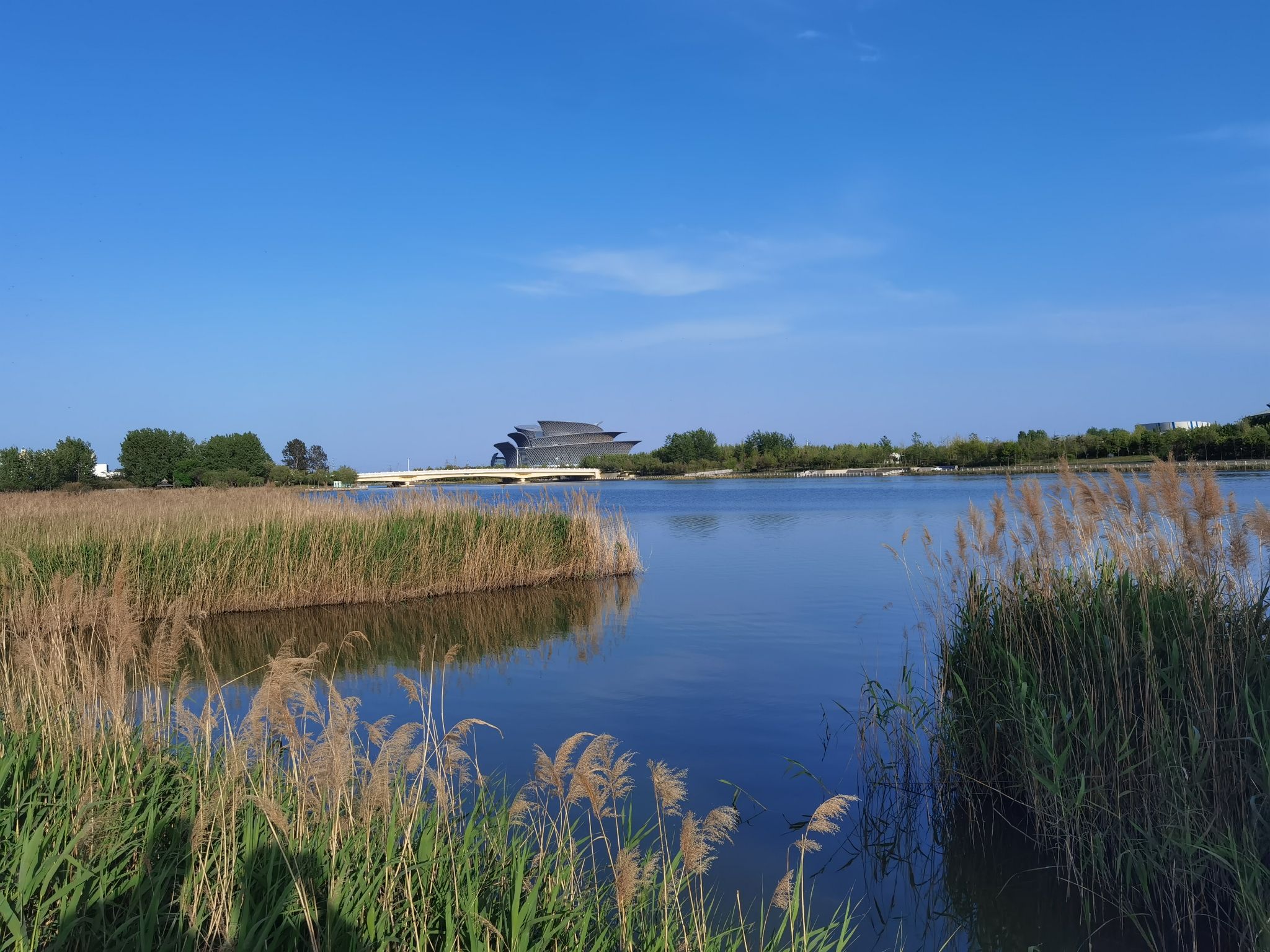 东营市明月湖国家湿地公园