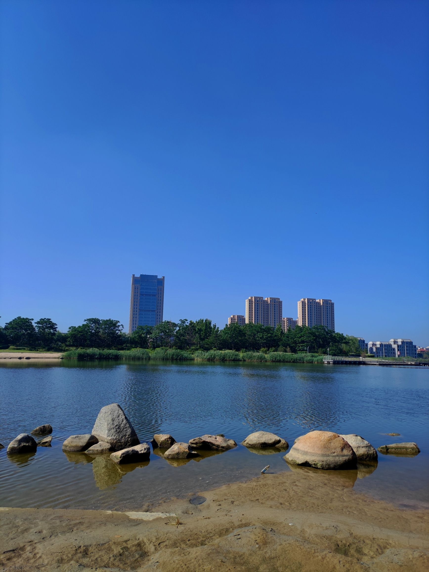 东营市明月湖国家湿地公园旅行图片 2