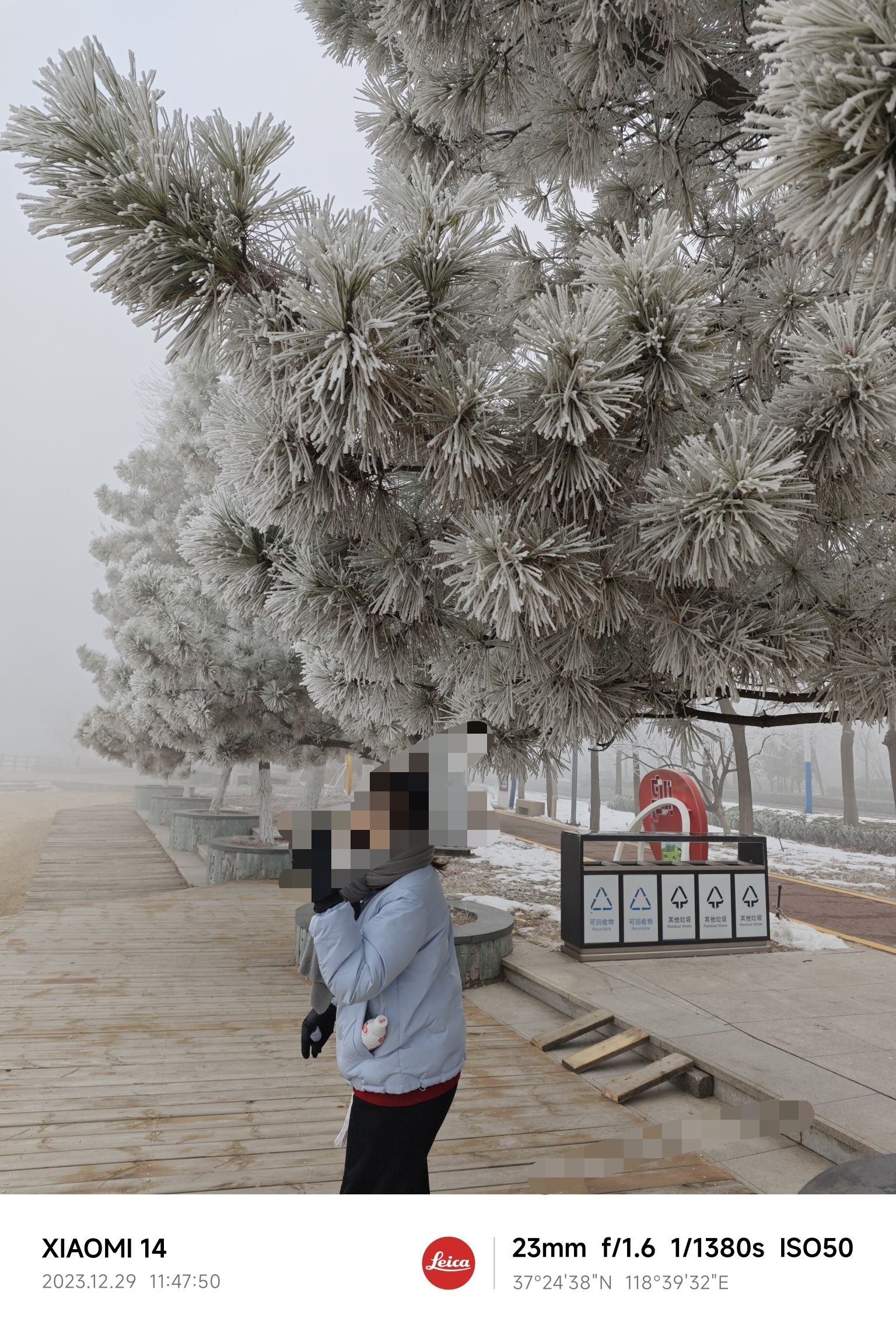 东营市明月湖国家湿地公园旅行图片 2