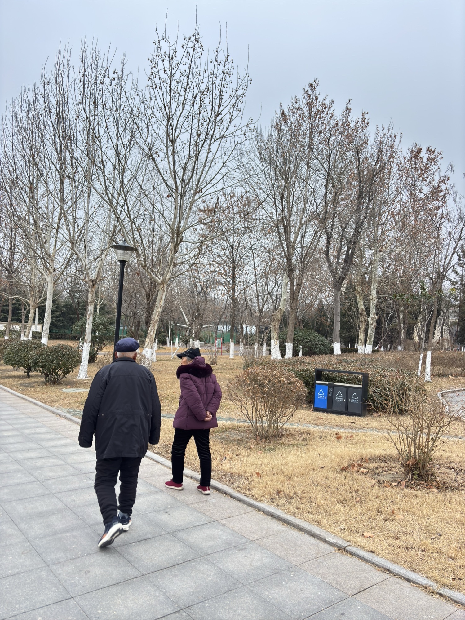 孙子文化广场旅行图片 3