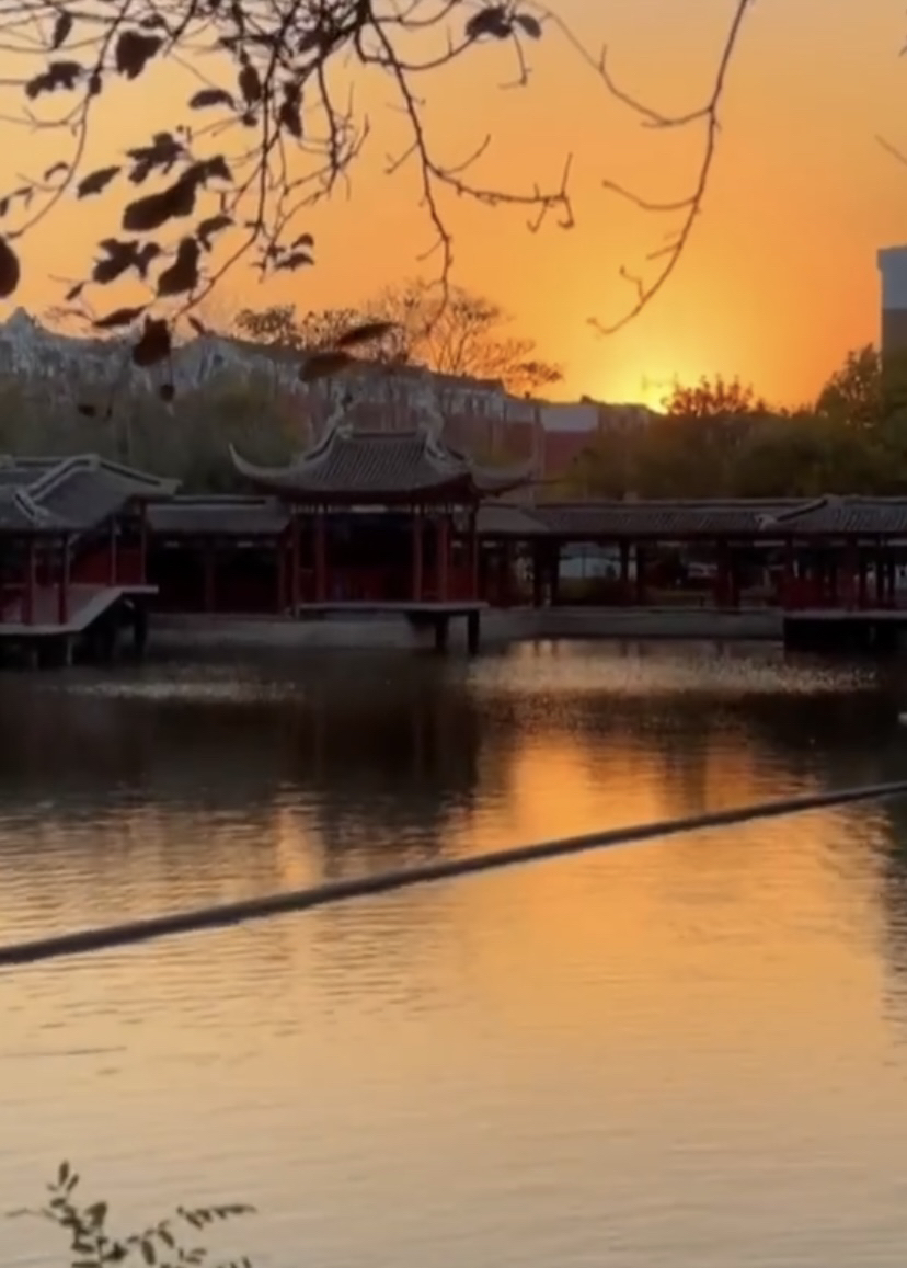 东辛公园旅行图片 3