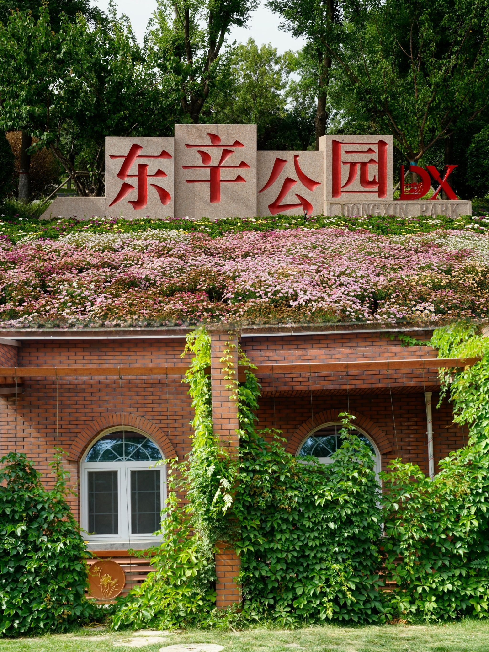 东辛公园旅行图片 1