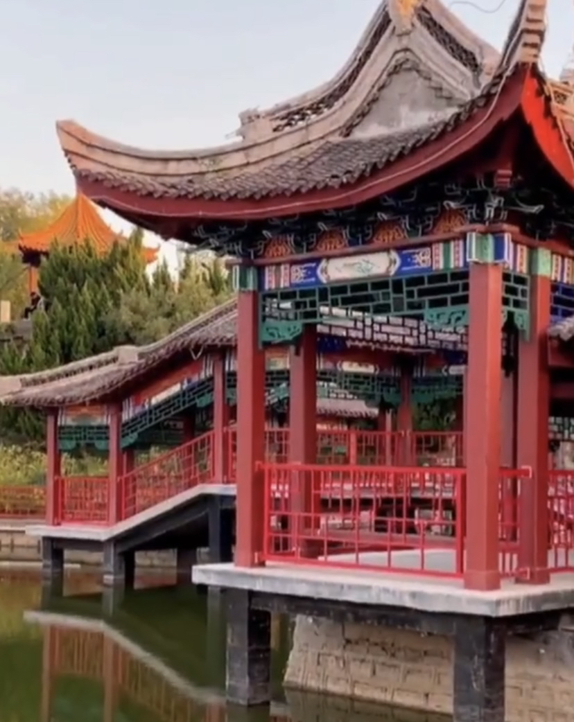 东辛公园旅行图片 1