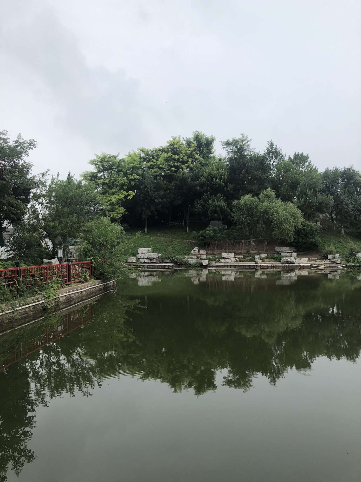 东辛公园旅行图片 2