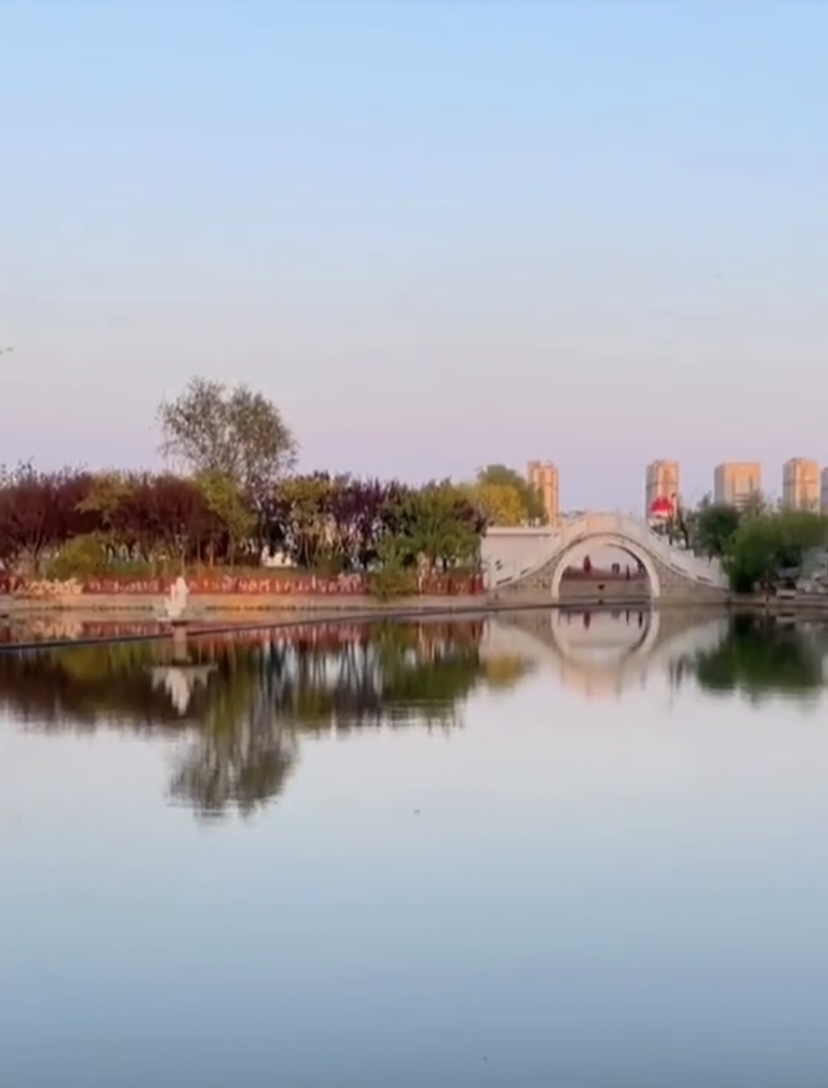 东辛公园旅行图片 2