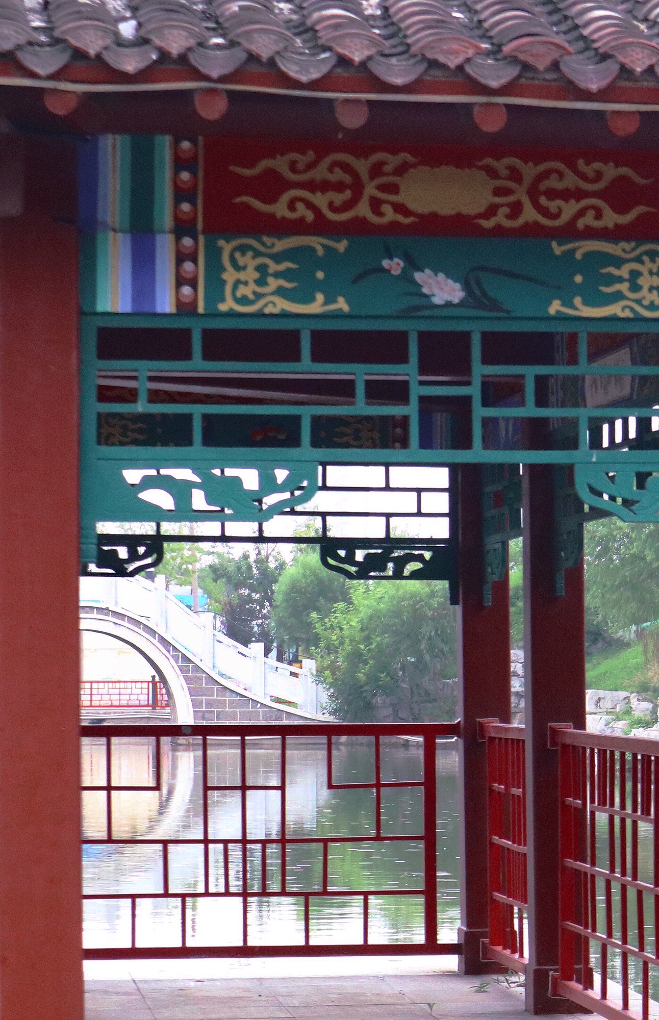 东辛公园旅行图片 1
