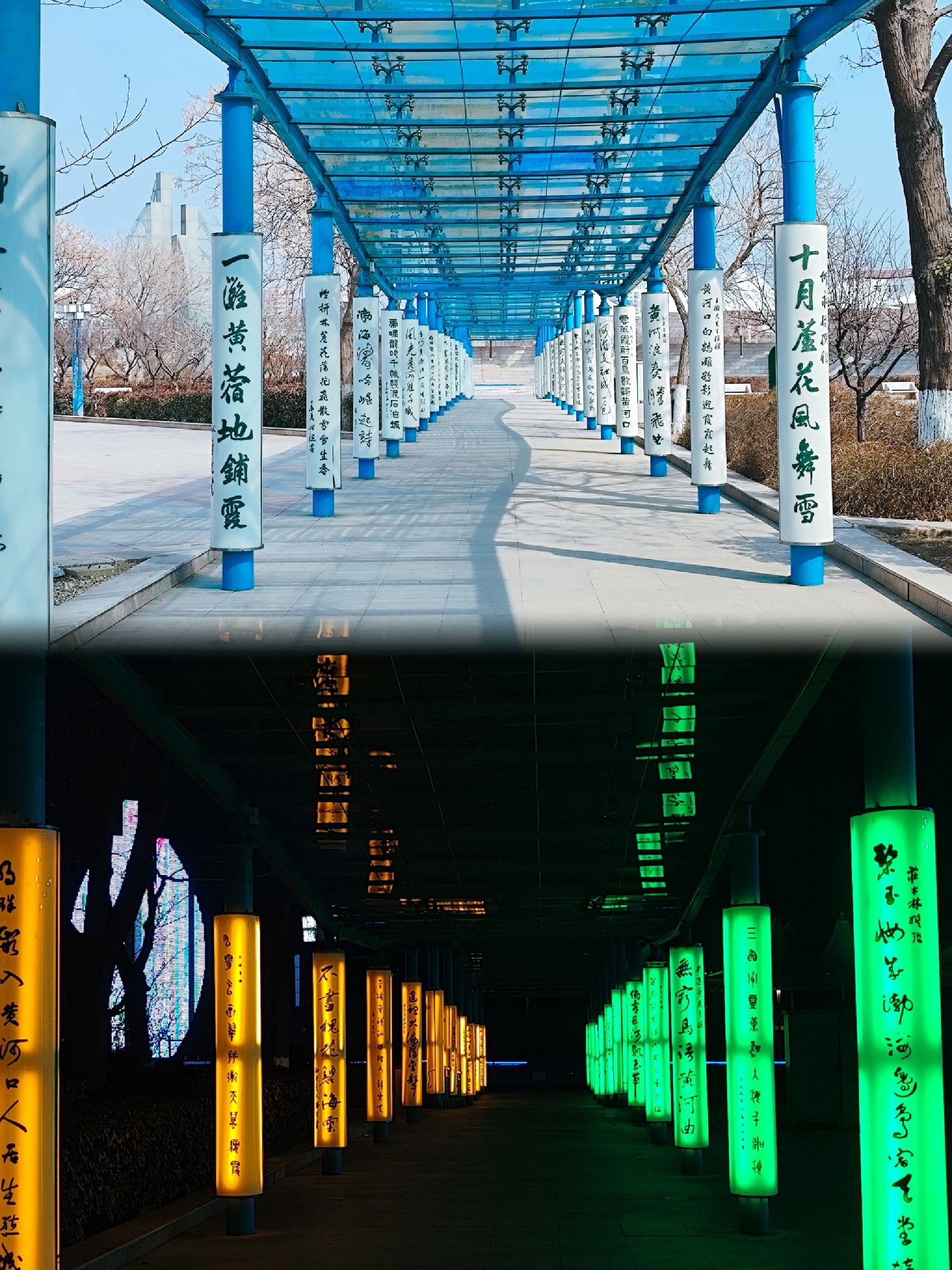 黄河广场旅行图片 1