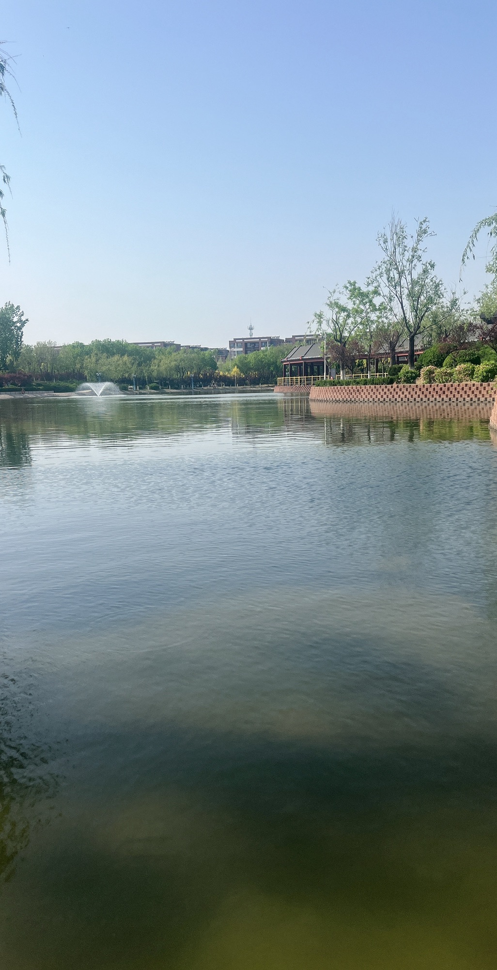 黄河广场旅行图片 1