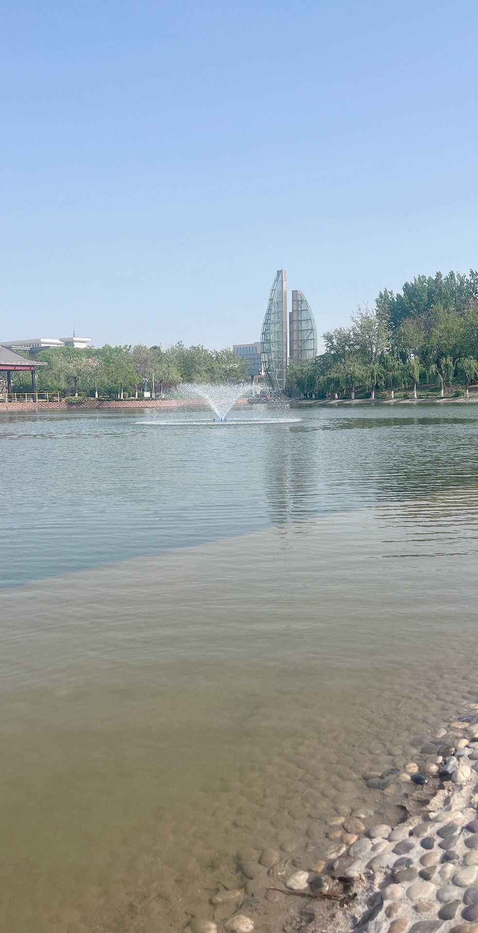 黄河广场旅行图片 2