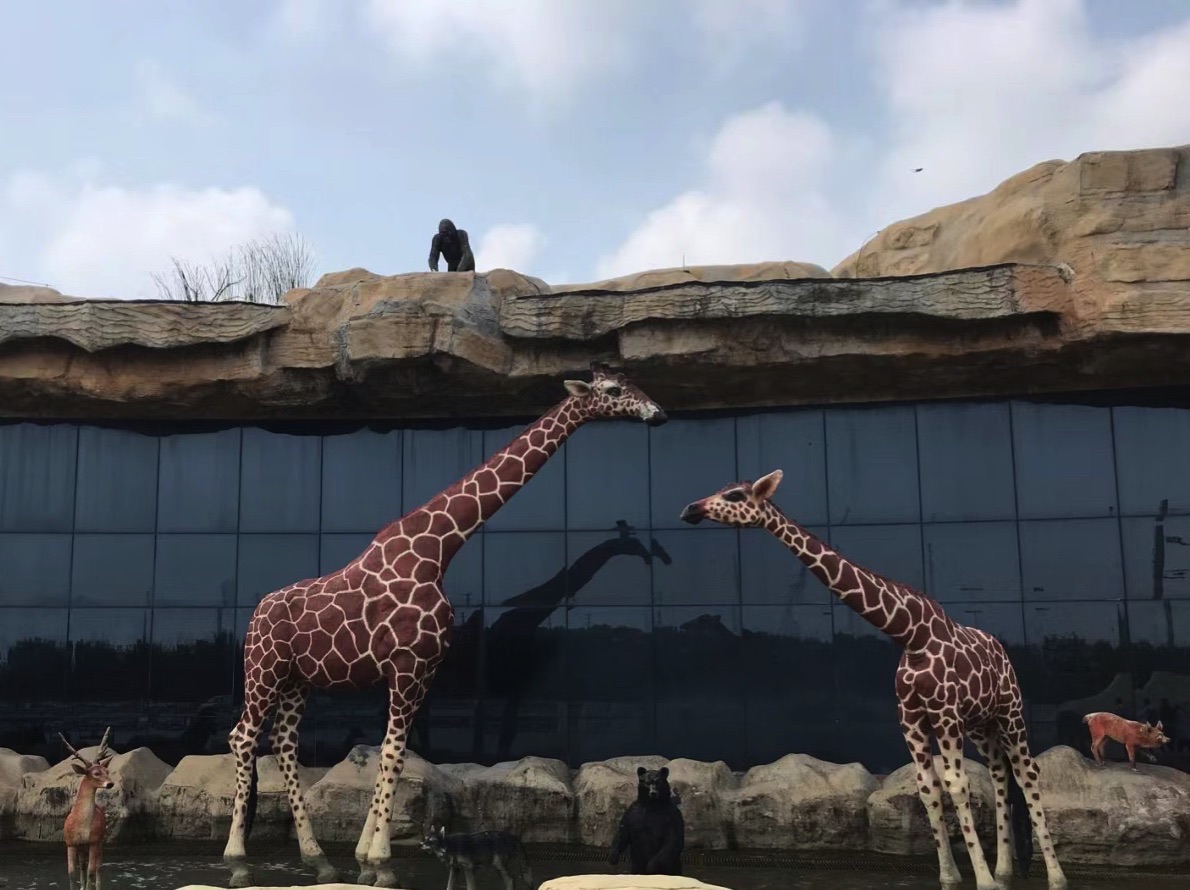 黄河三角洲动物园旅行图片 2