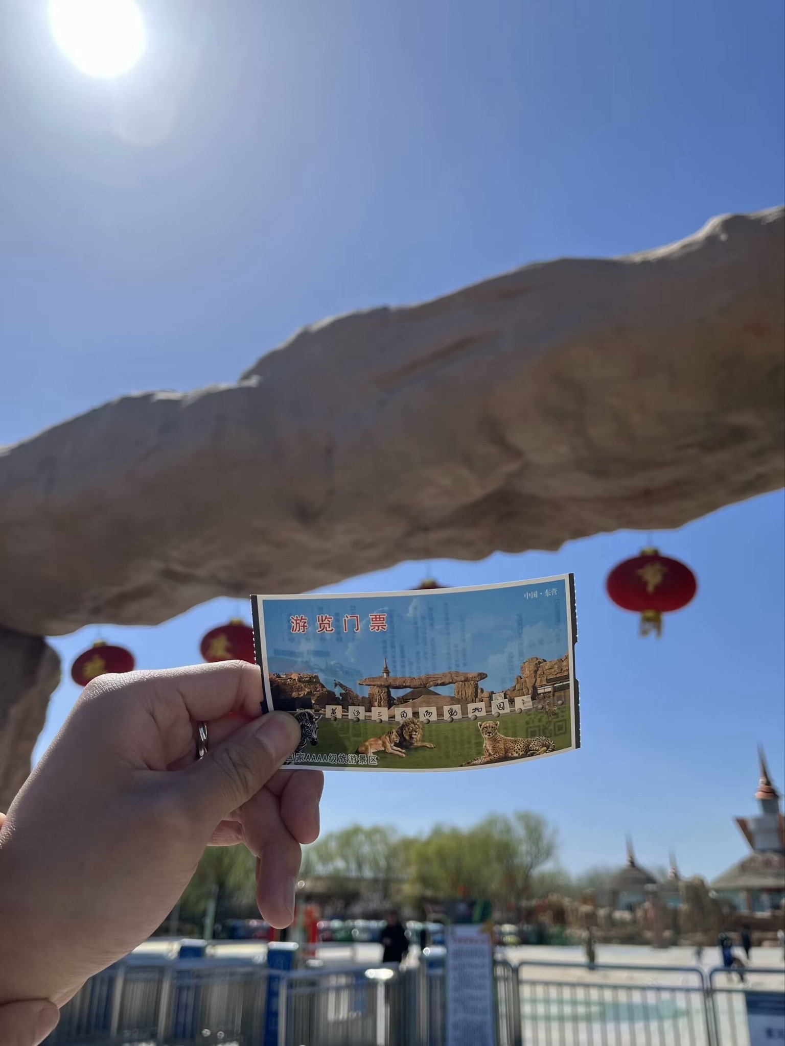 黄河三角洲动物园旅行图片 1
