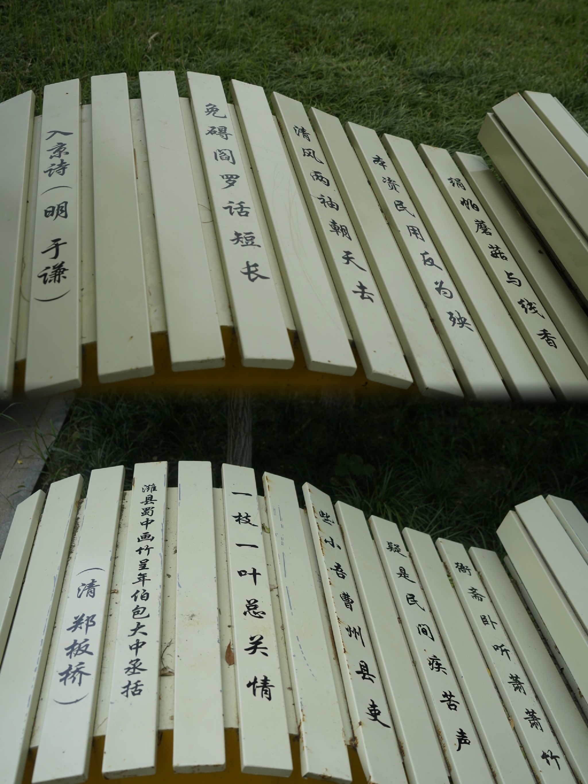 胜利公园旅行图片 2