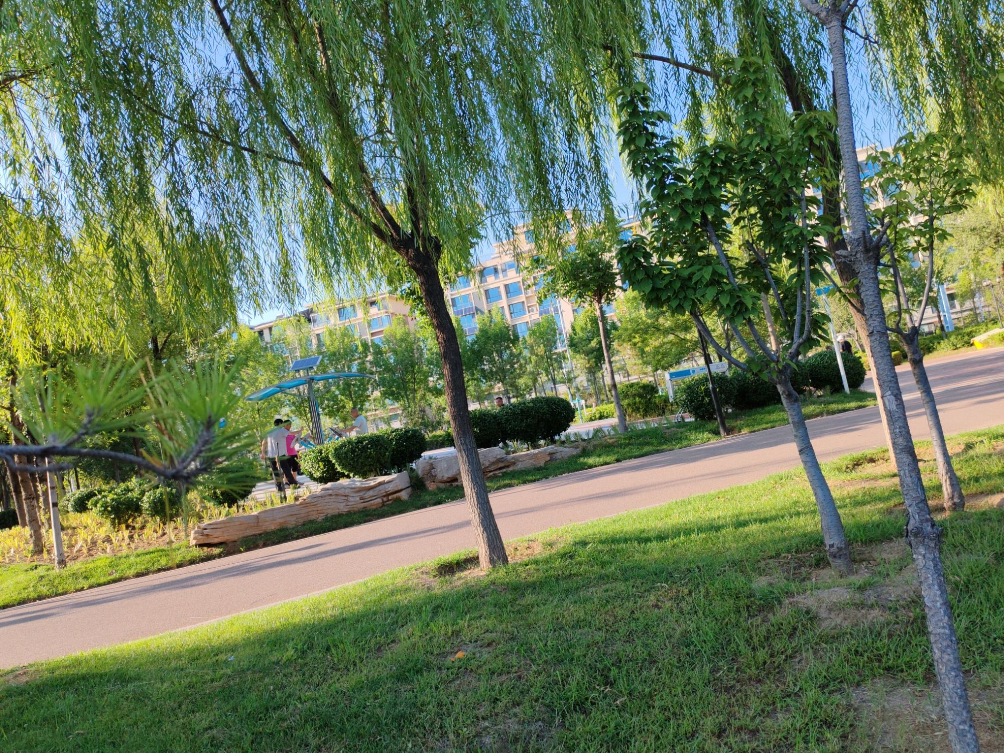 胜利公园旅行图片 2