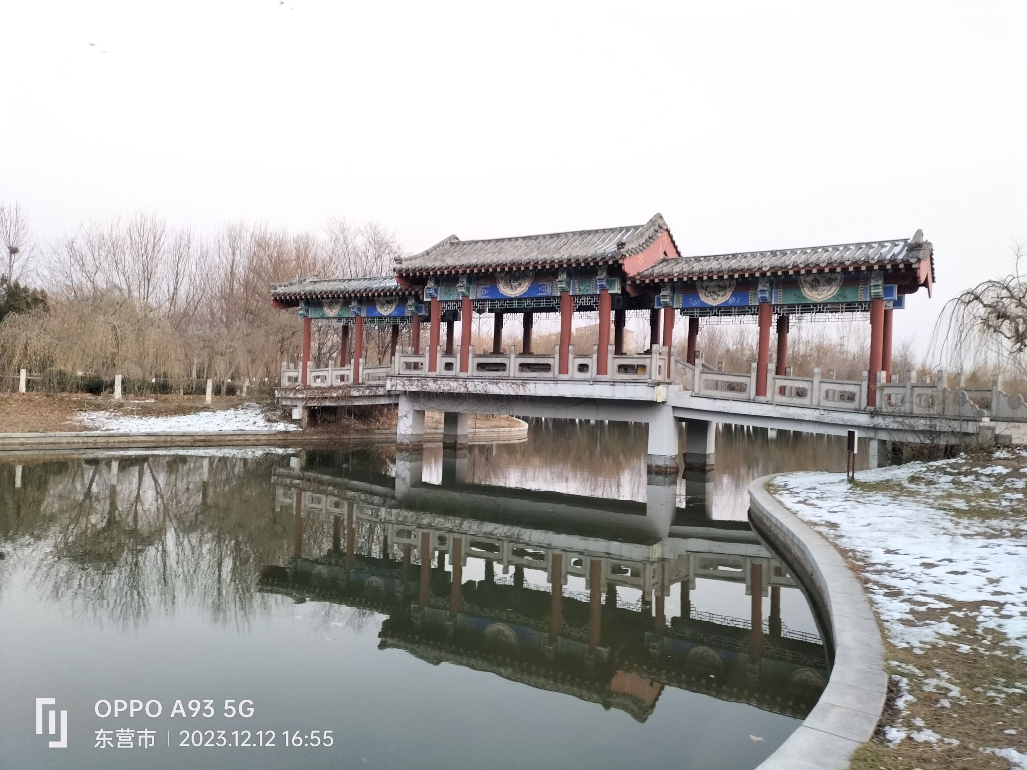 垦利植物园旅行图片 2