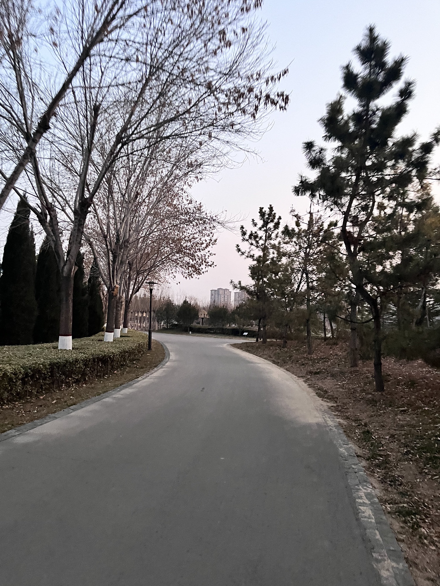 垦利植物园旅行图片 1