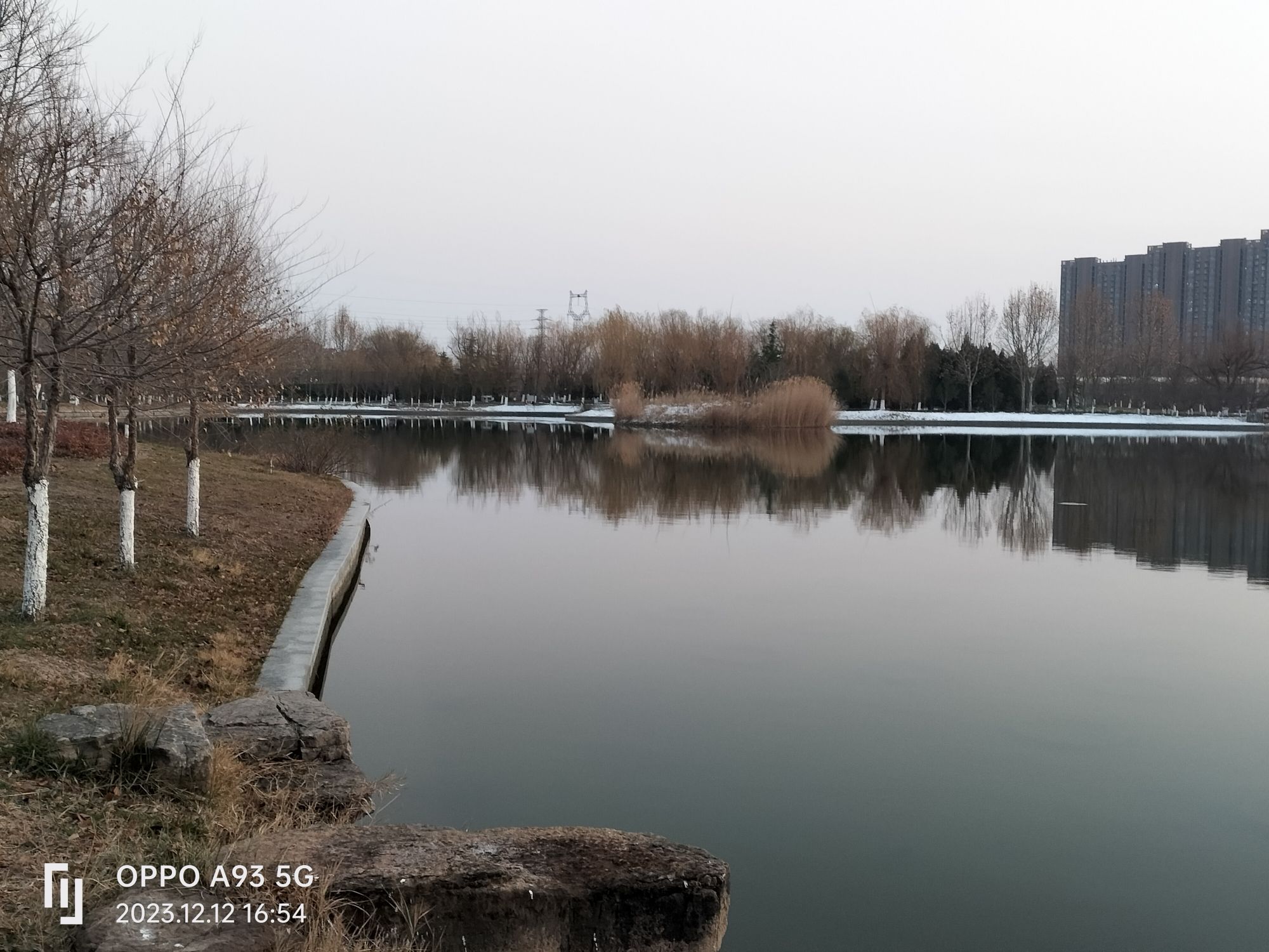 垦利植物园旅行图片 3