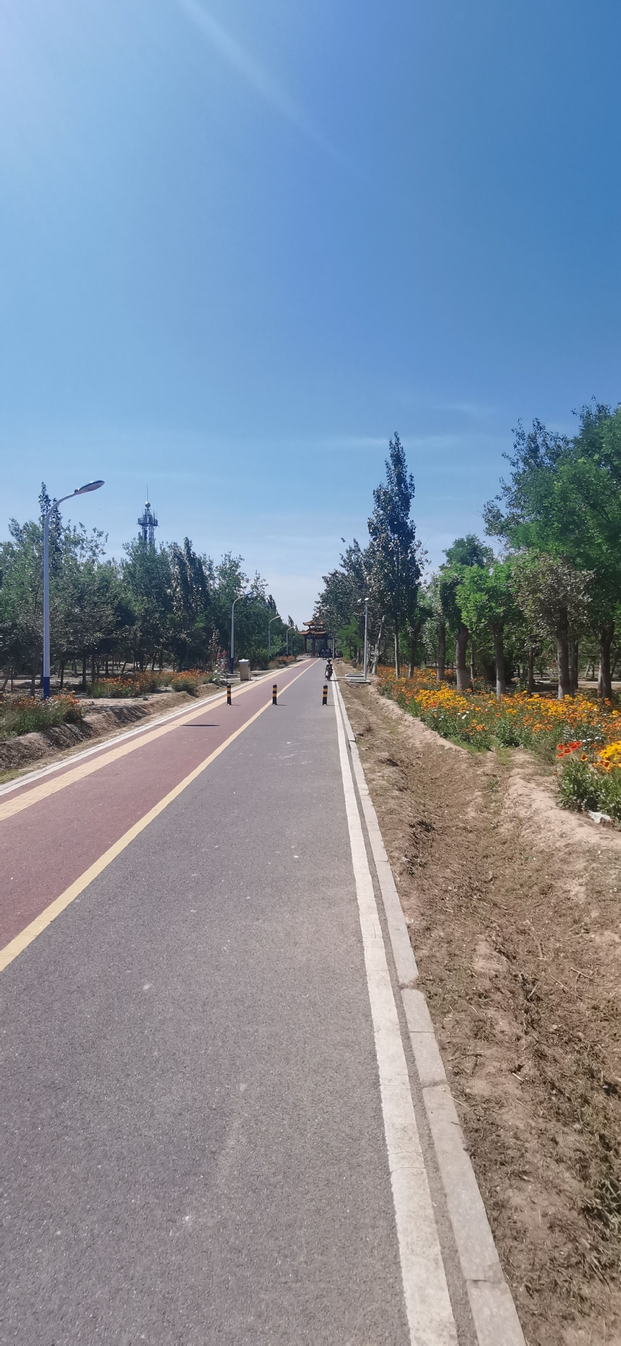 仙河植物园旅行图片 2