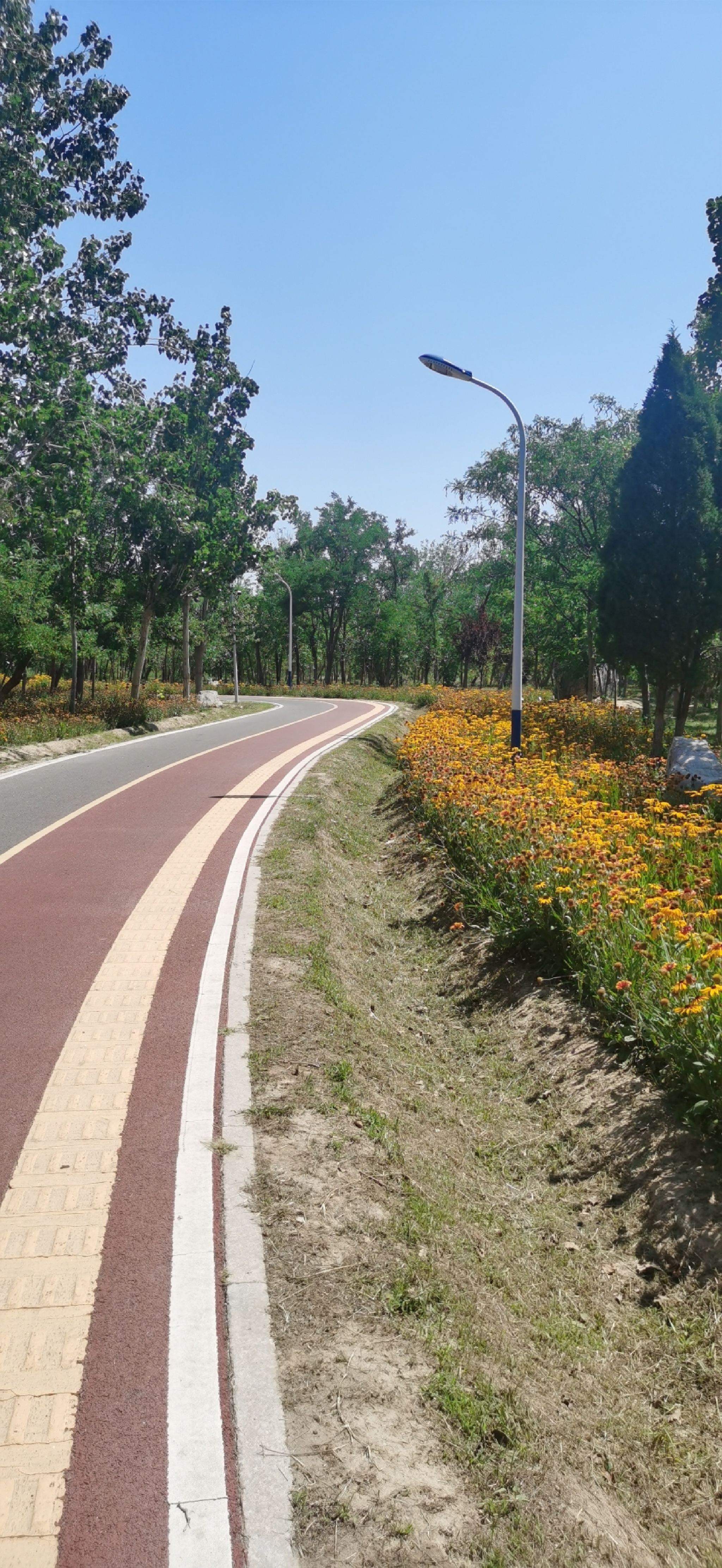 仙河植物园旅行图片 3