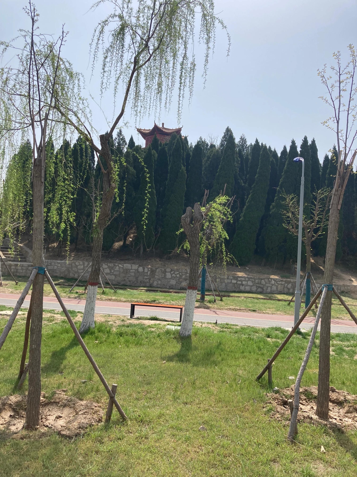 仙河蓬莱公园旅行图片 2