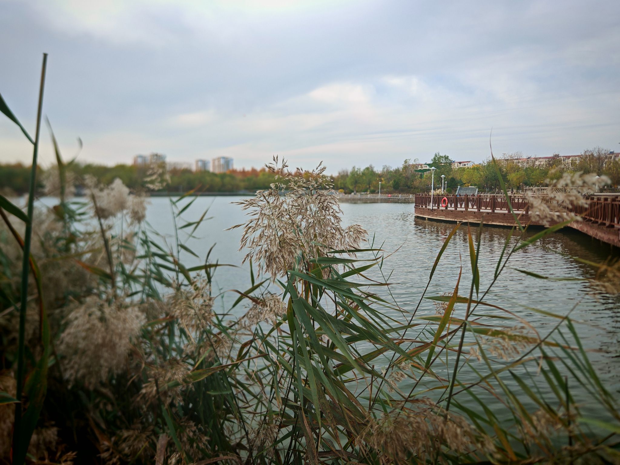 翠湖公园旅行图片 1