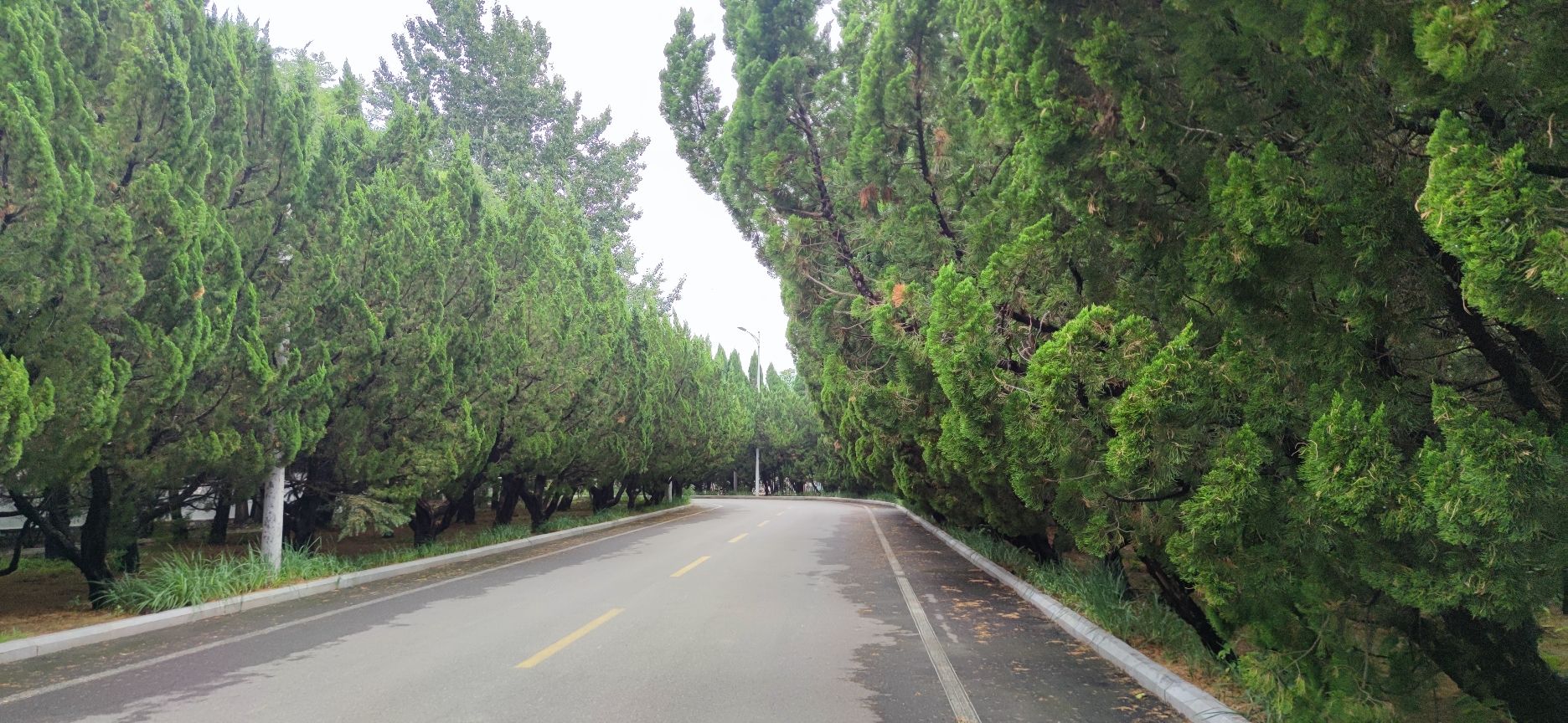 滨海公园旅行图片 2