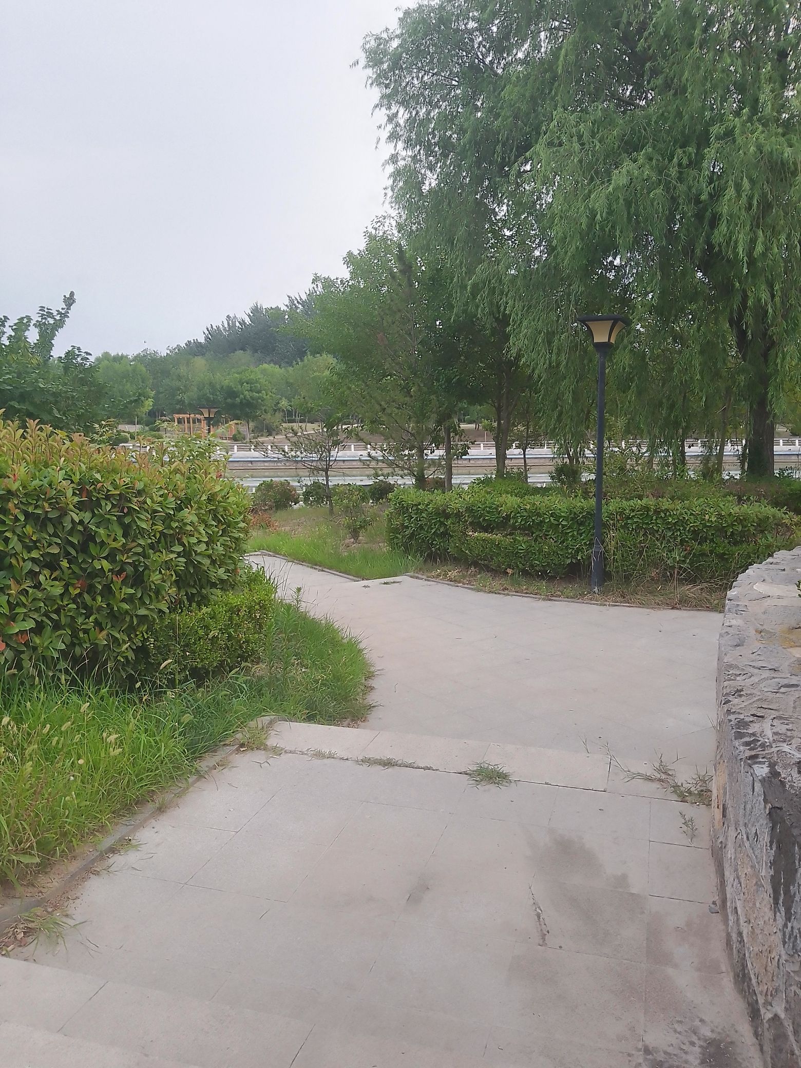溢馨公园旅行图片 3