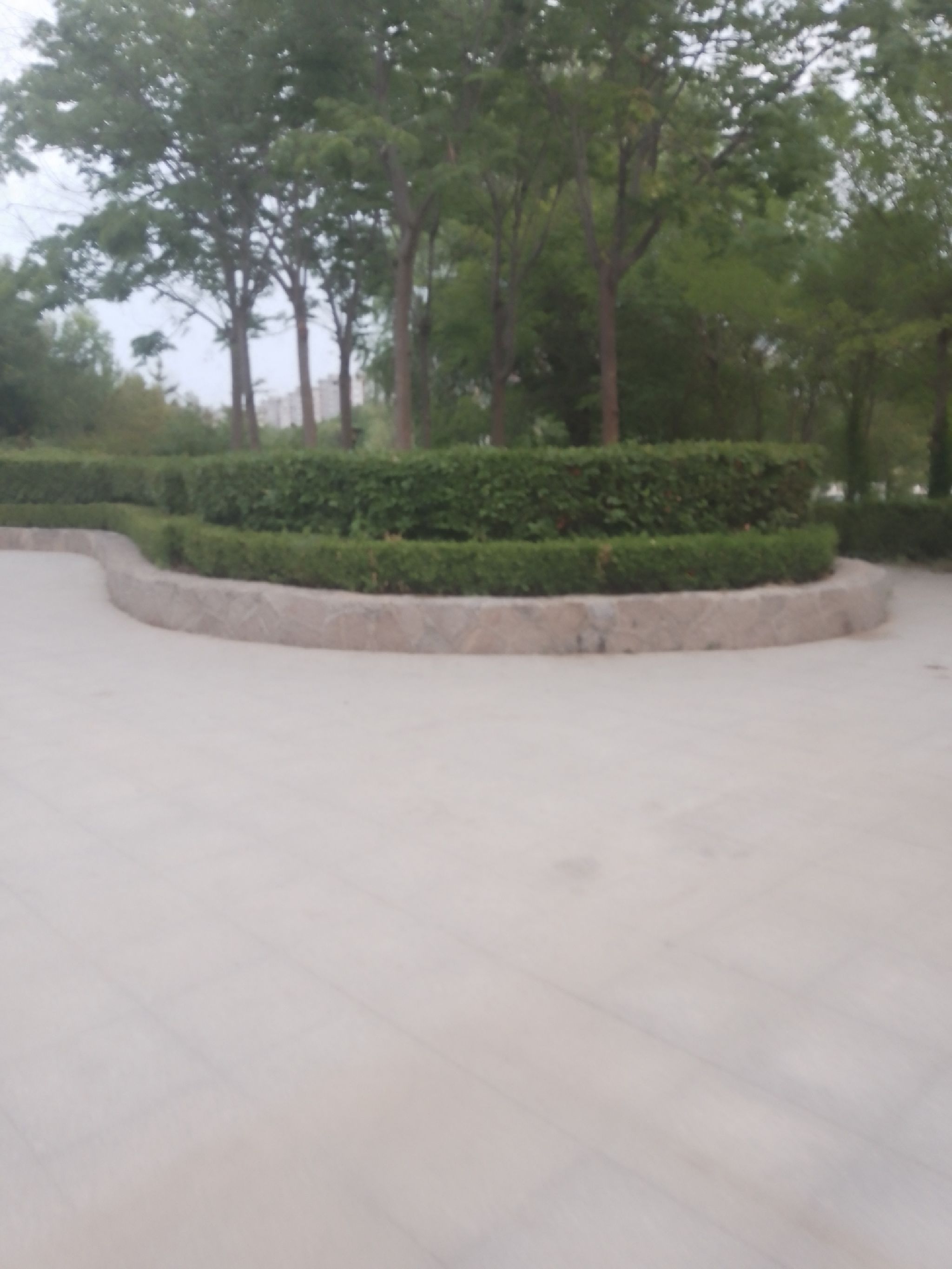 溢馨公园旅行图片 1