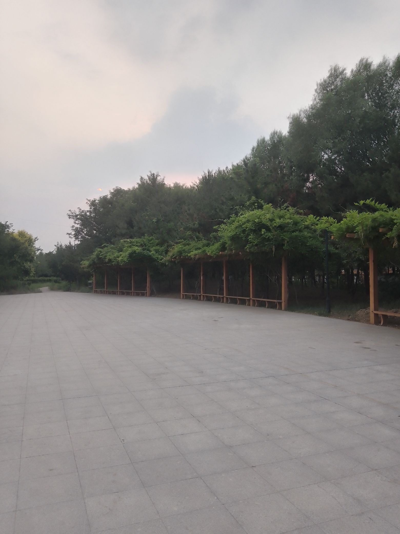溢馨公园旅行图片 2