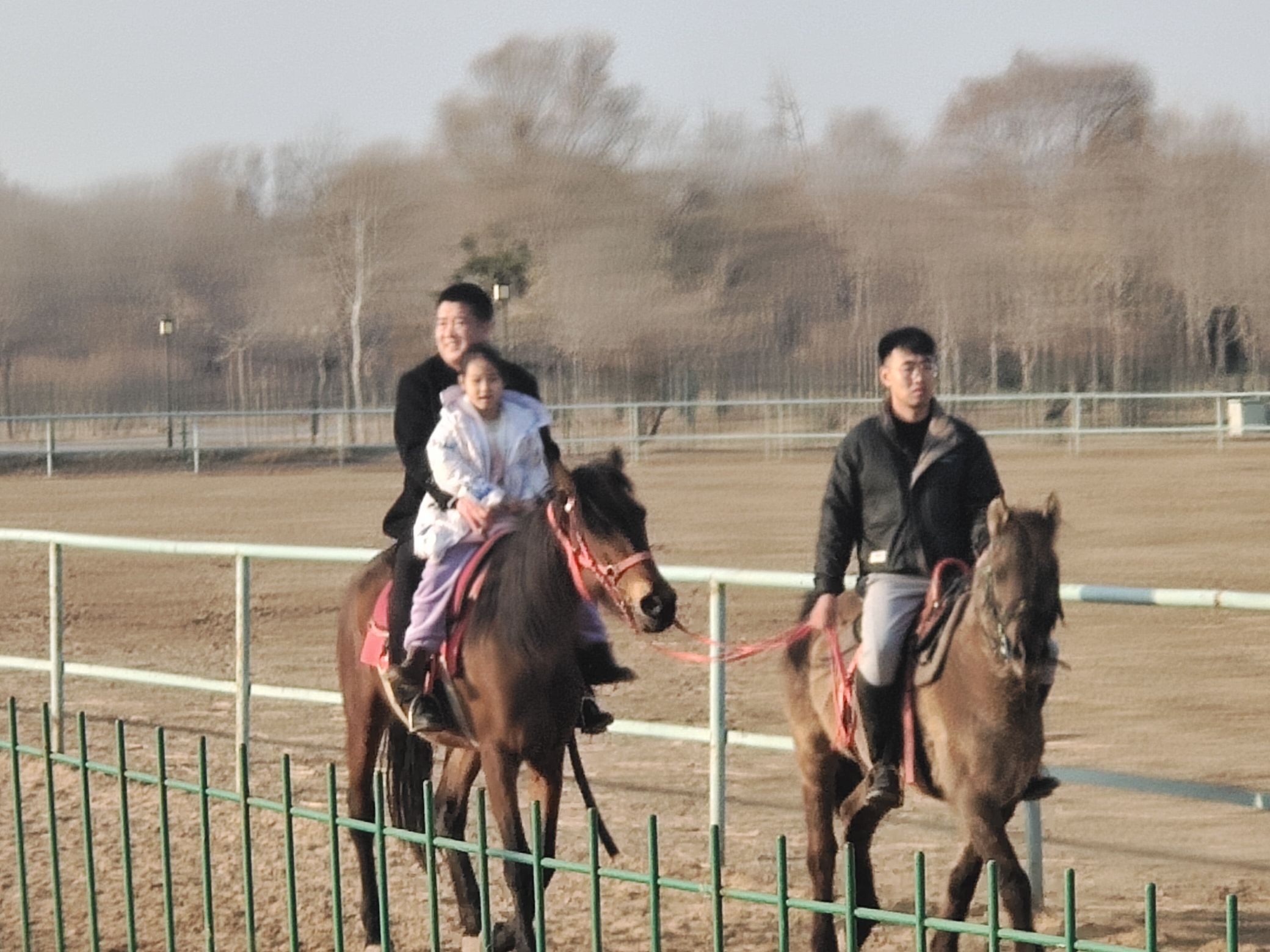 天宁寺旅行图片 2