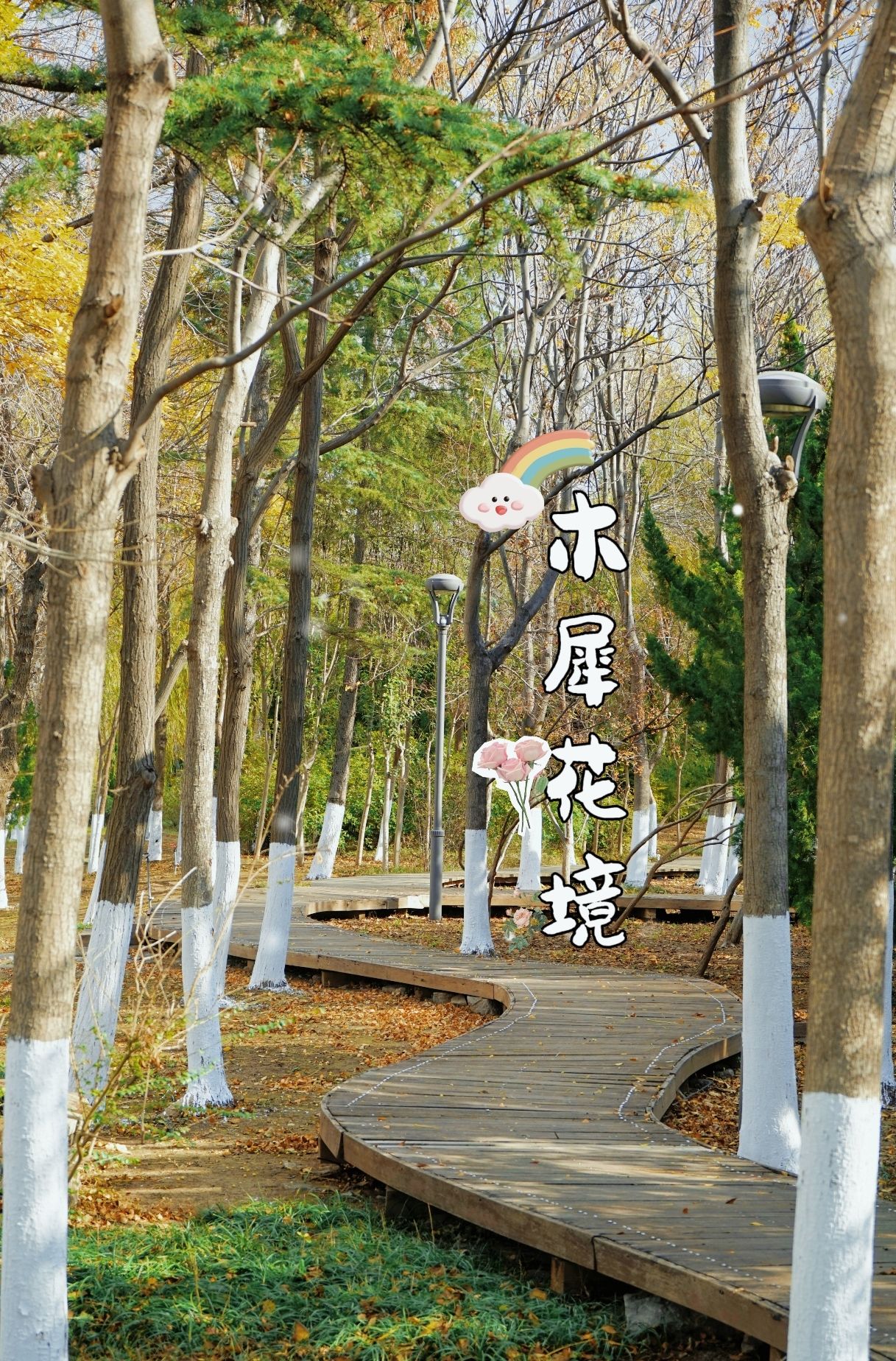 木犀花境旅行图片