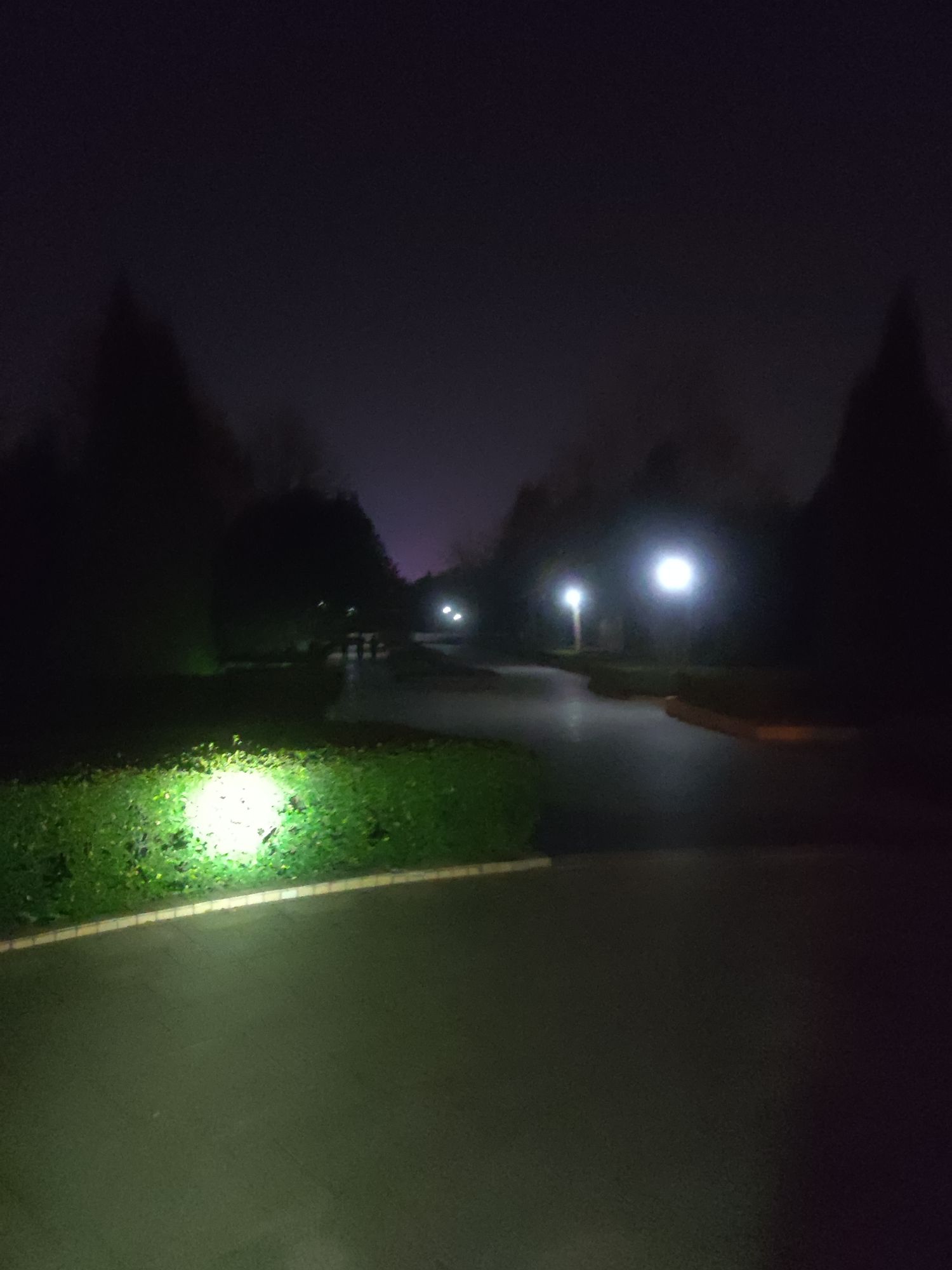 植物园旅行图片 2