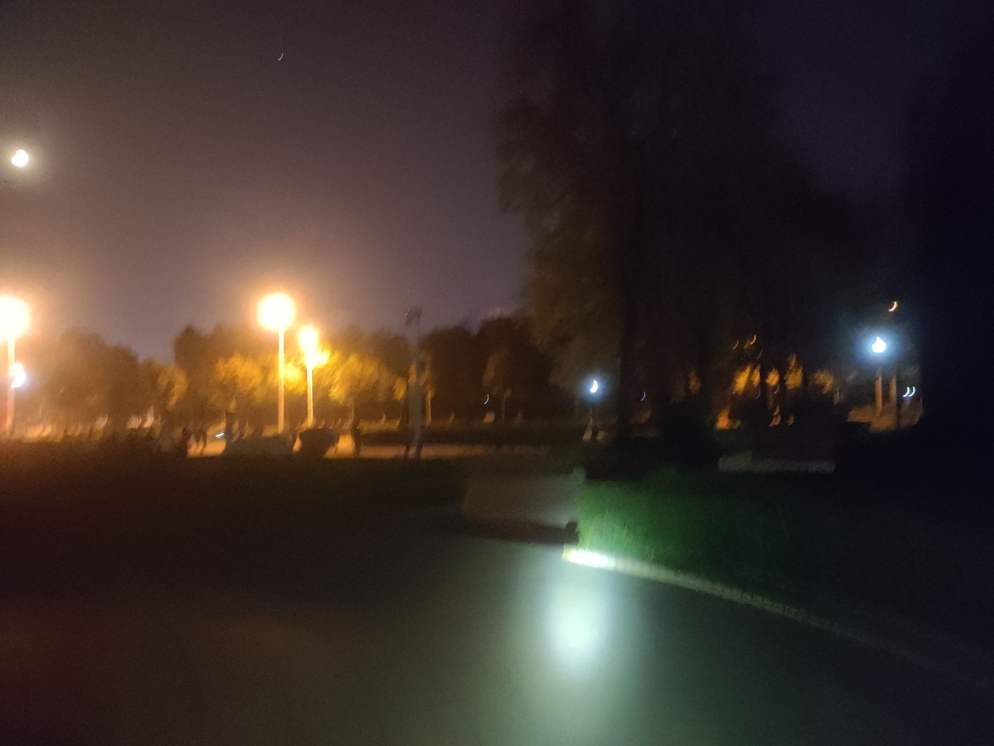 植物园旅行图片 3