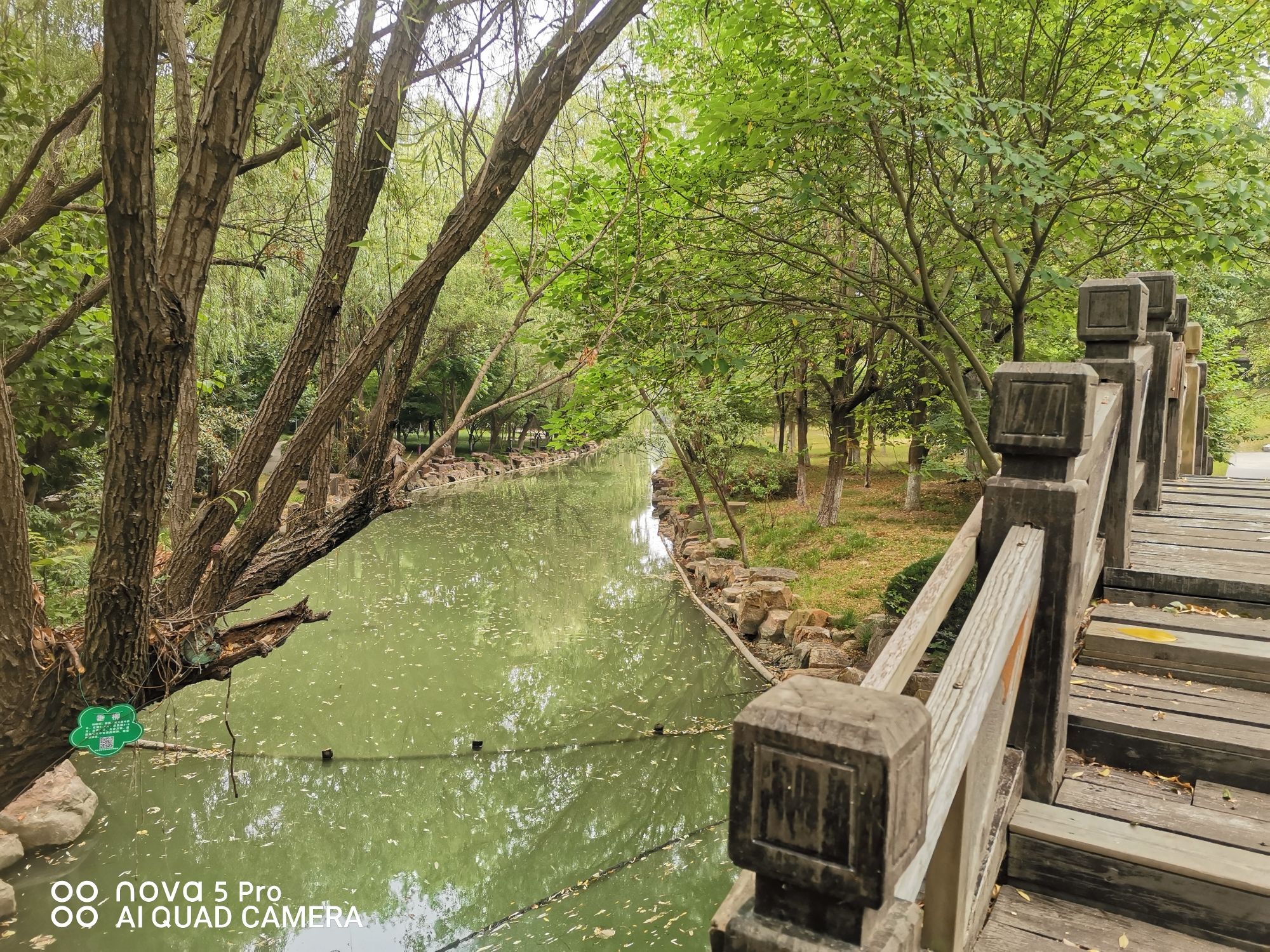 天长市森林公园旅行图片 3
